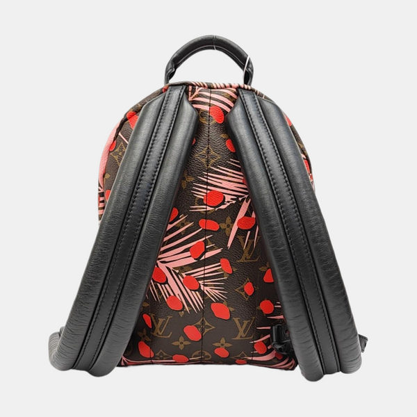 PALM SPRINGS PM Monogram Coated Canvas Brown