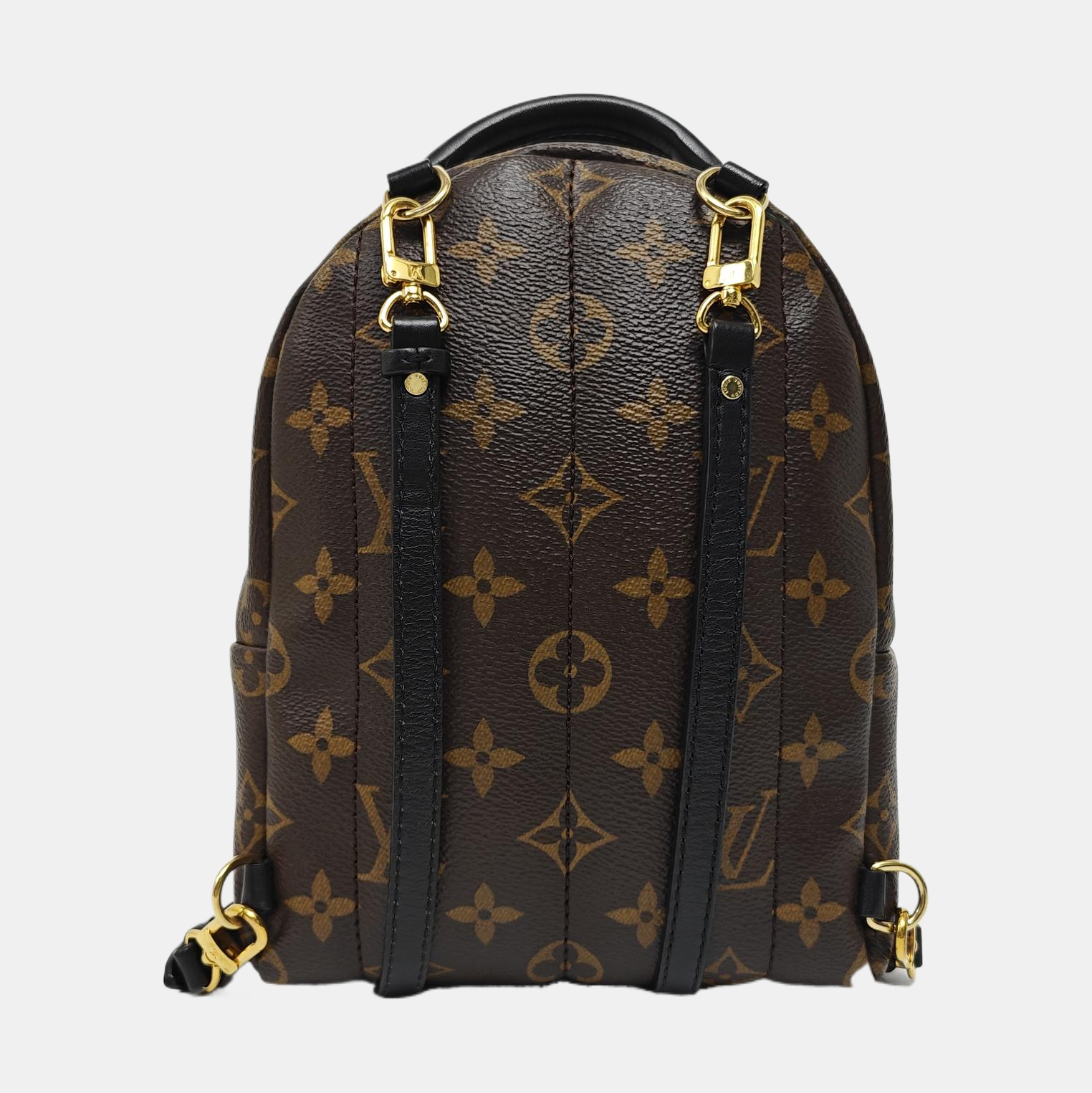 PALM SPRINGS Mini Monogram Coated Canvas Brown