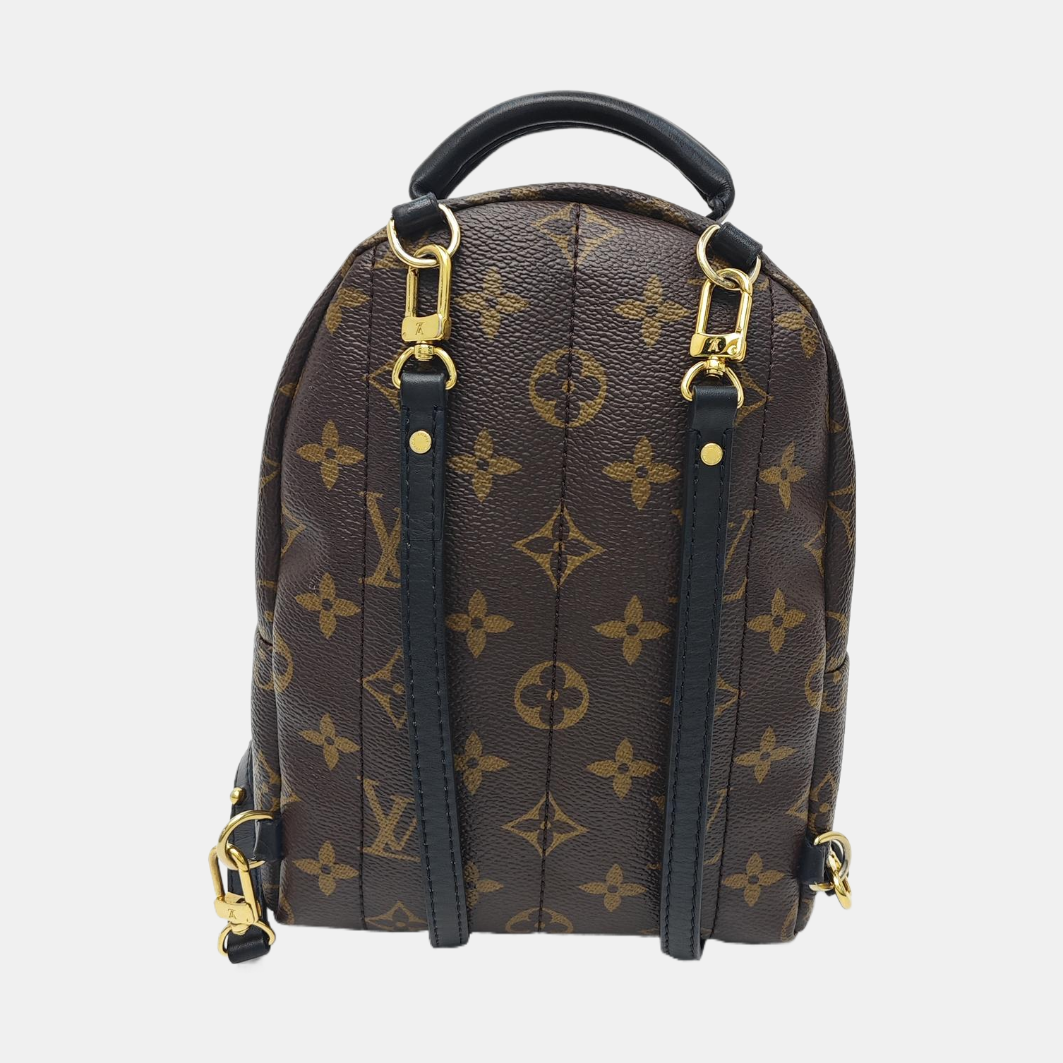 PALM SPRINGS Mini Monogram Coated Canvas Brown