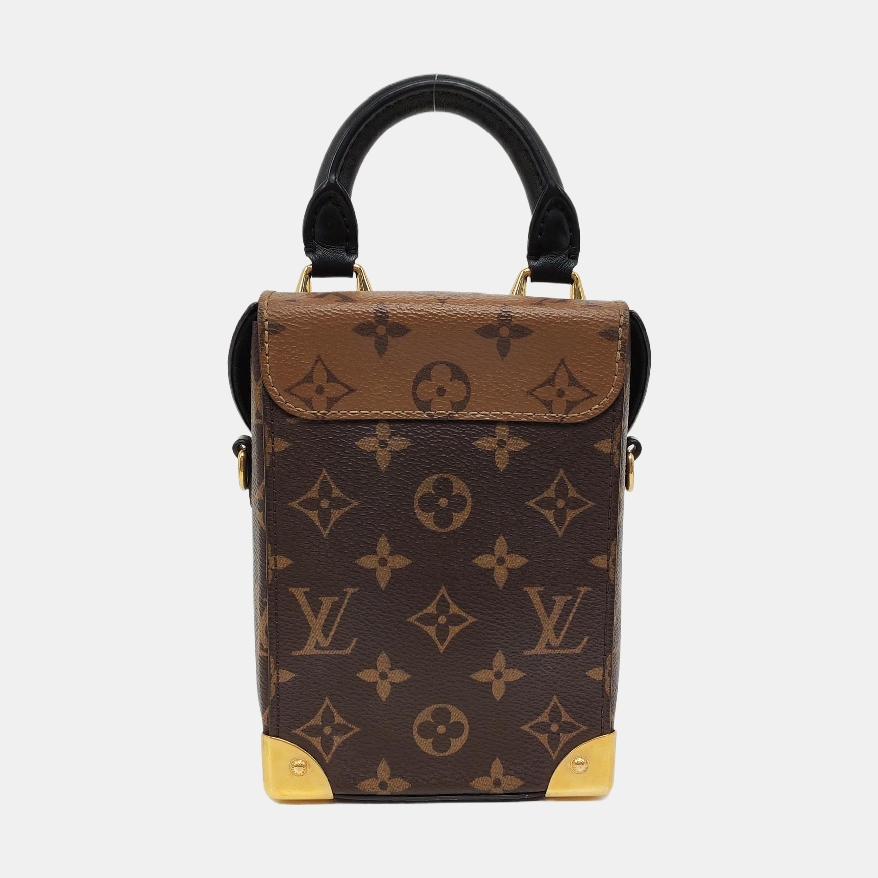 CAMERA BOX Monogram Coated Canvas Brown