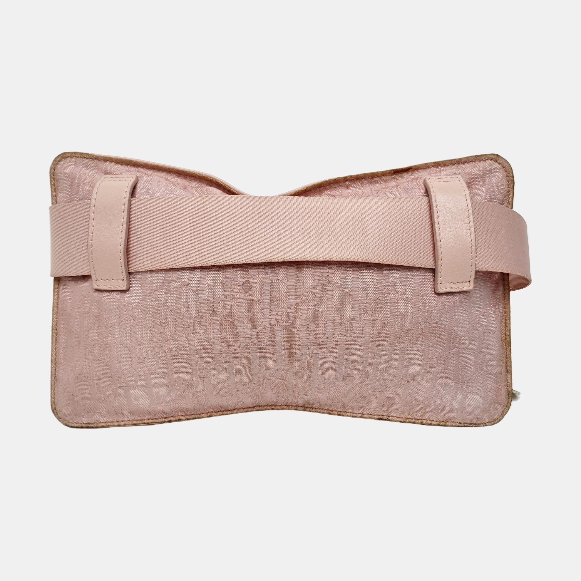Oblique Canvas Belt Bag Pink