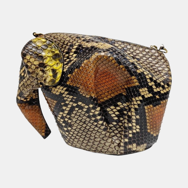 Animals Python Multicolor