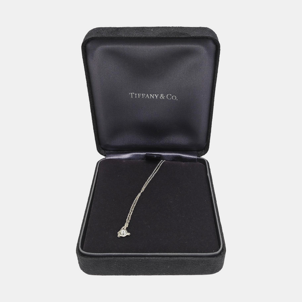 Elsa Peretti Platinum 950 Silver Necklace