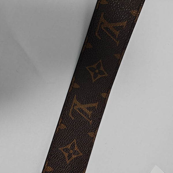 Coated Canvas Belt Brown