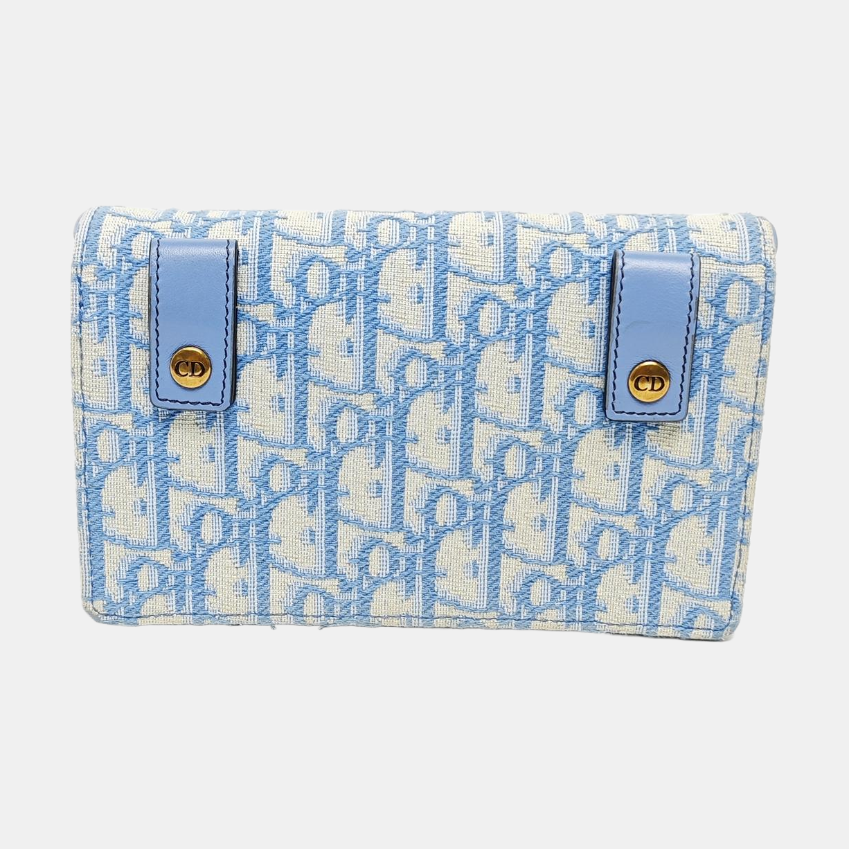 Saddle Mini Oblique Canvas Blue