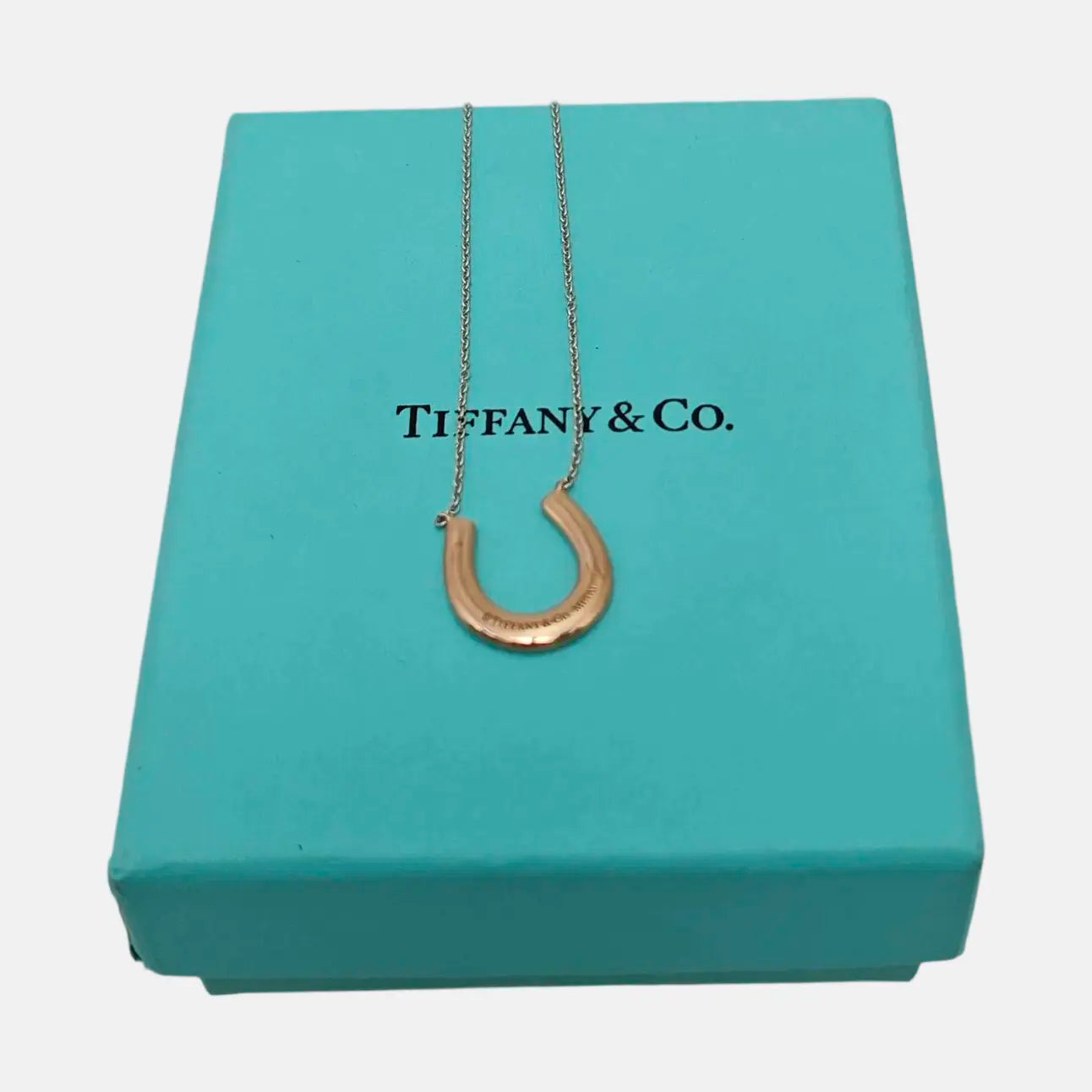 Tiffany Metro 925 Sterling Silver Necklace