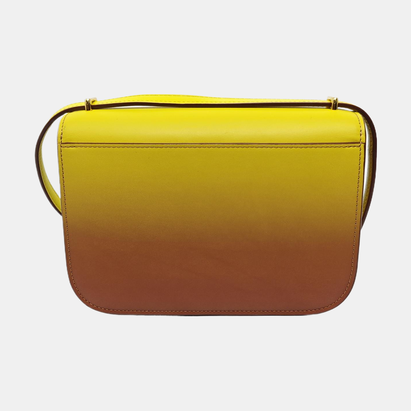 Goya Small Calfskin Multicolor