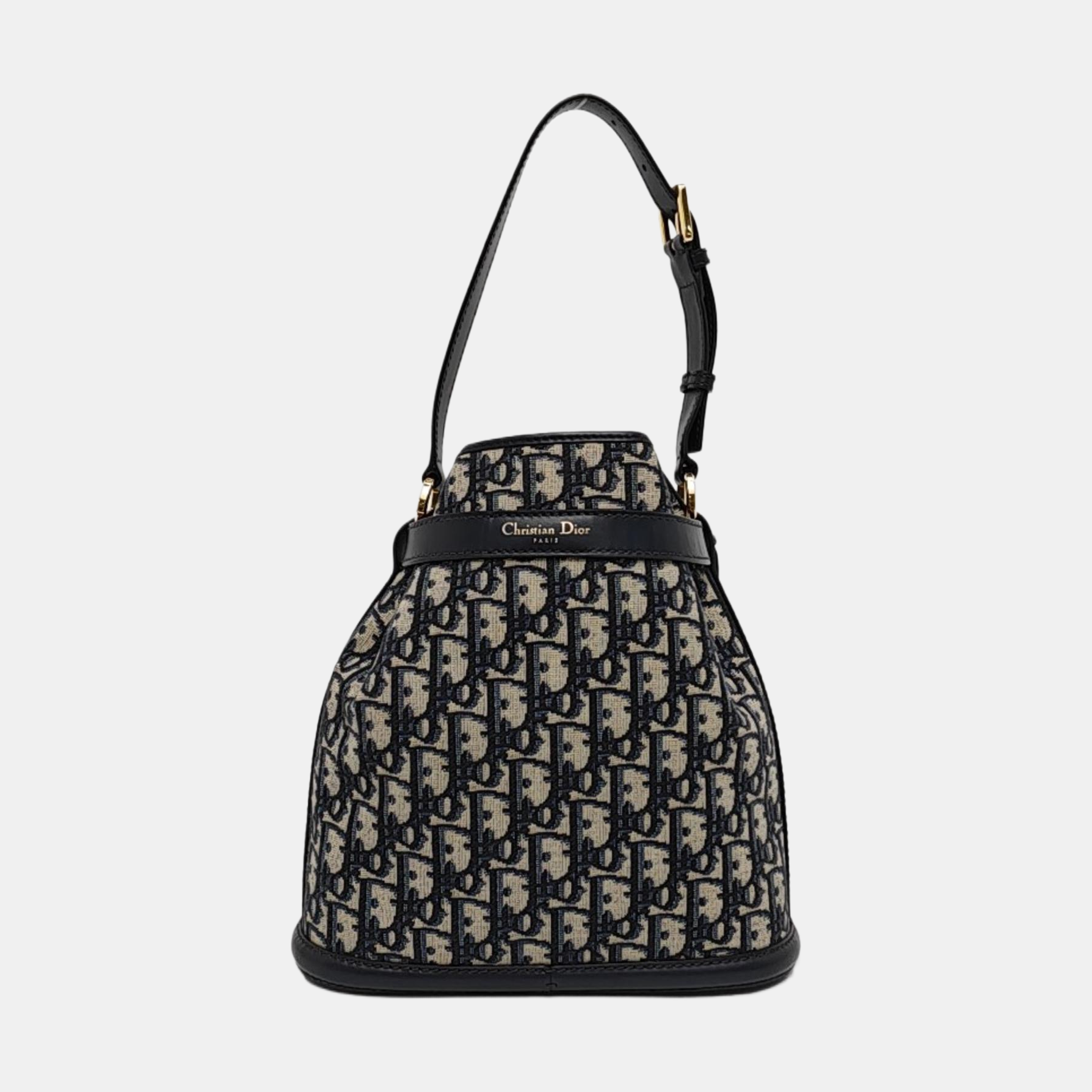 C'est Dior Medium Oblique Canvas Blue