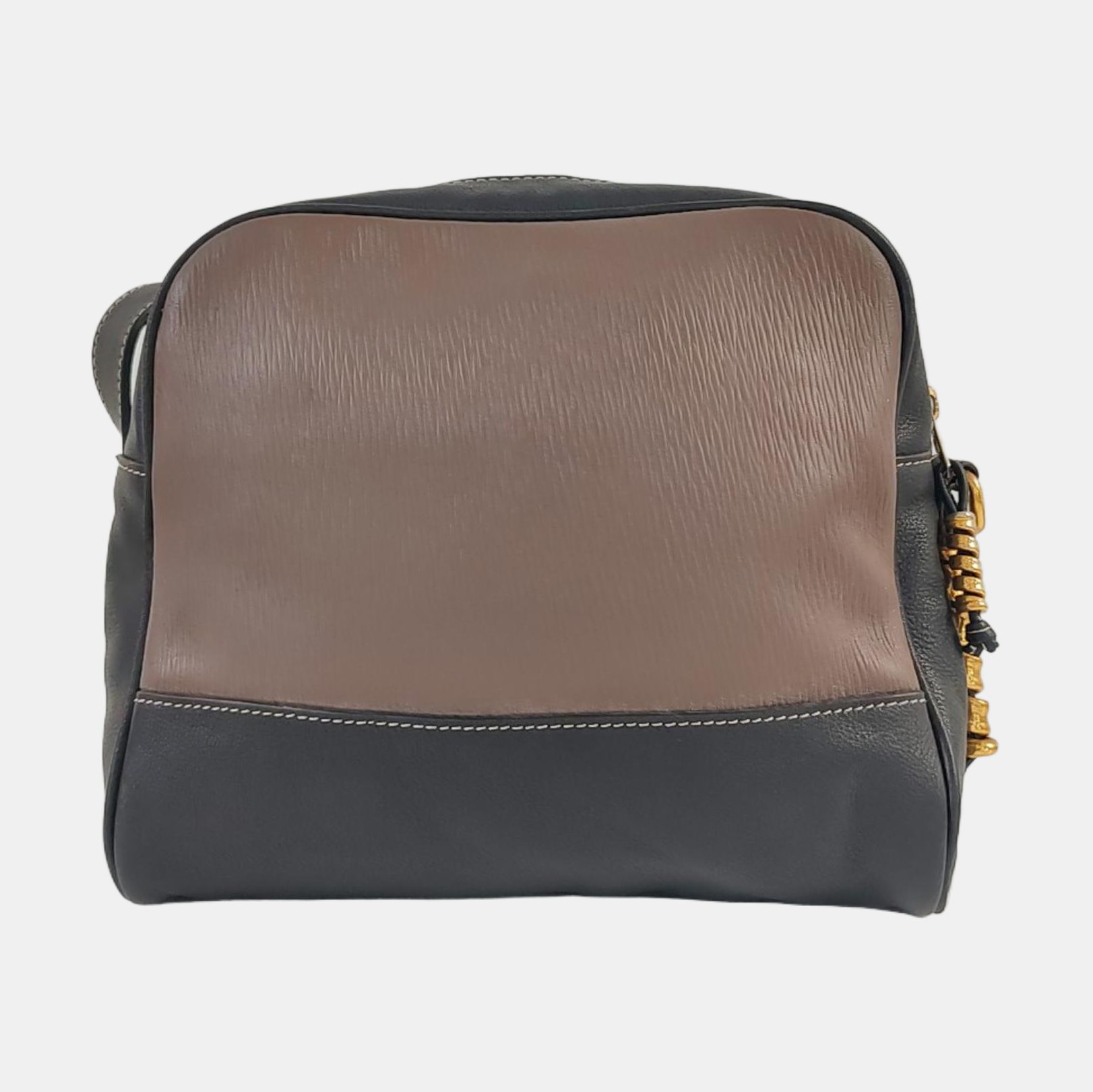 Calfskin Multicolor