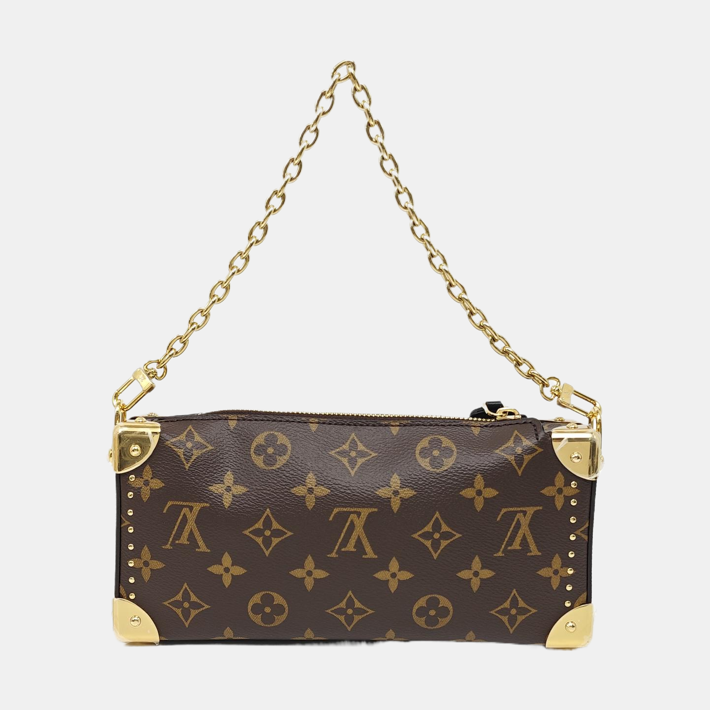 SLIM TRUNK Monogram Coated Canvas Brown