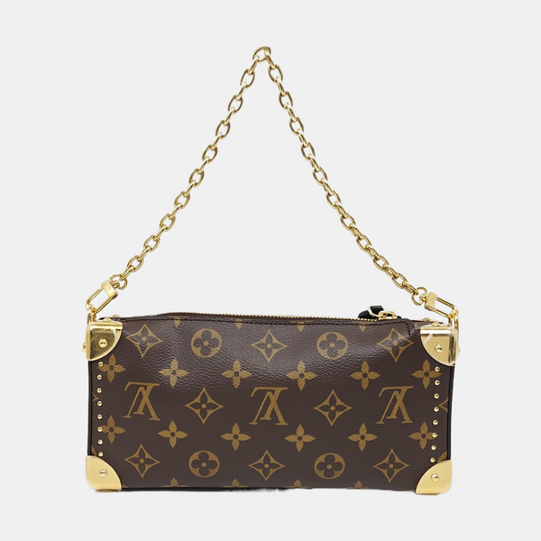 SLIM TRUNK Monogram Coated Canvas Brown