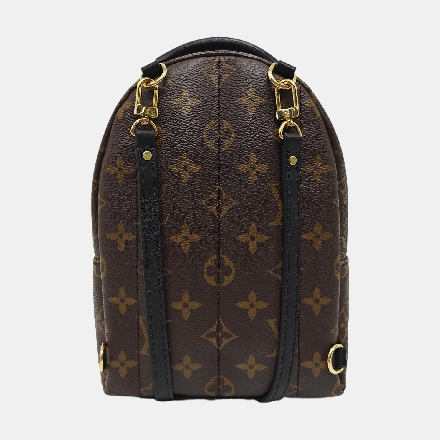 PALM SPRINGS Mini Monogram Coated Canvas Brown