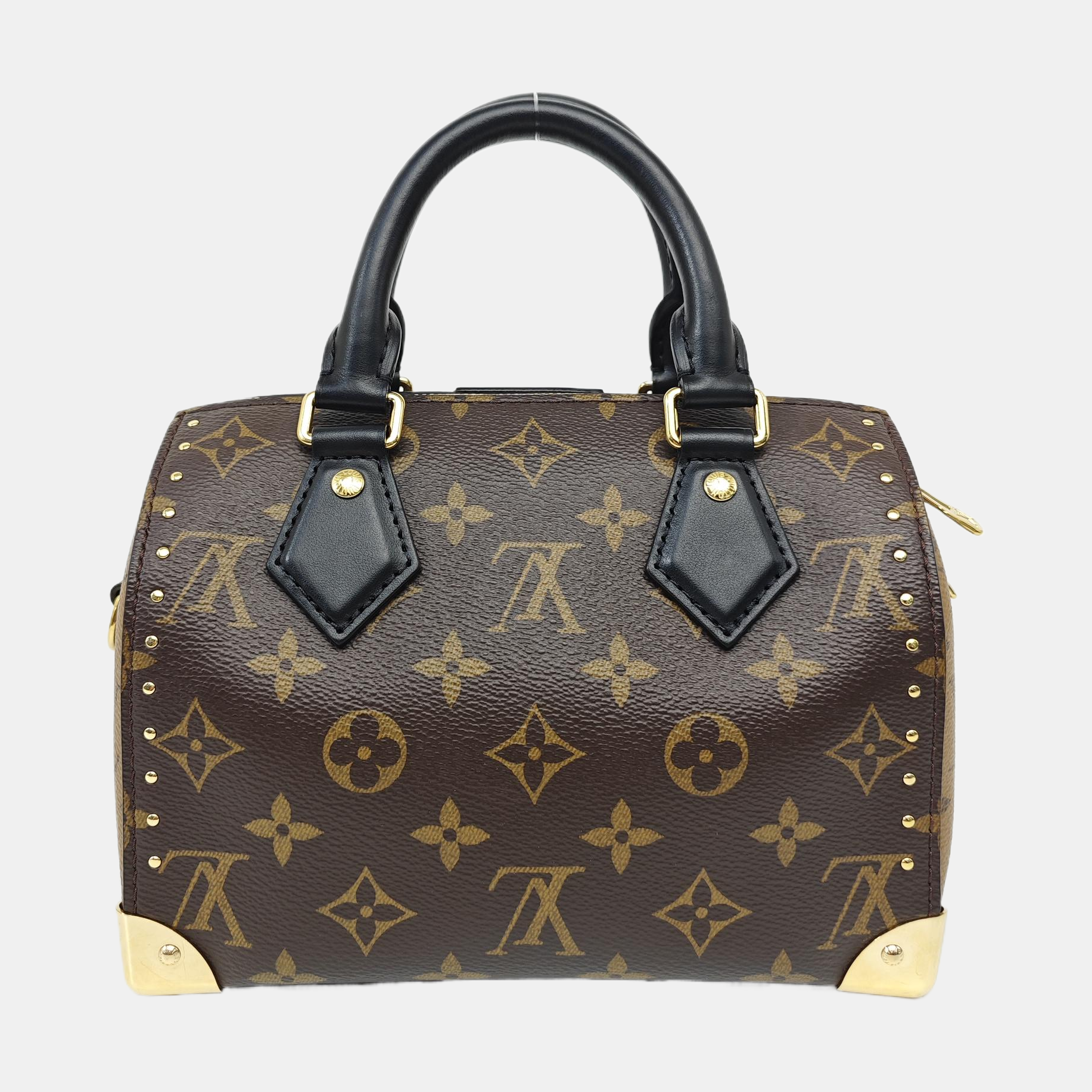SPEEDY TRUNK 20 Monogram Coated Canvas Brown