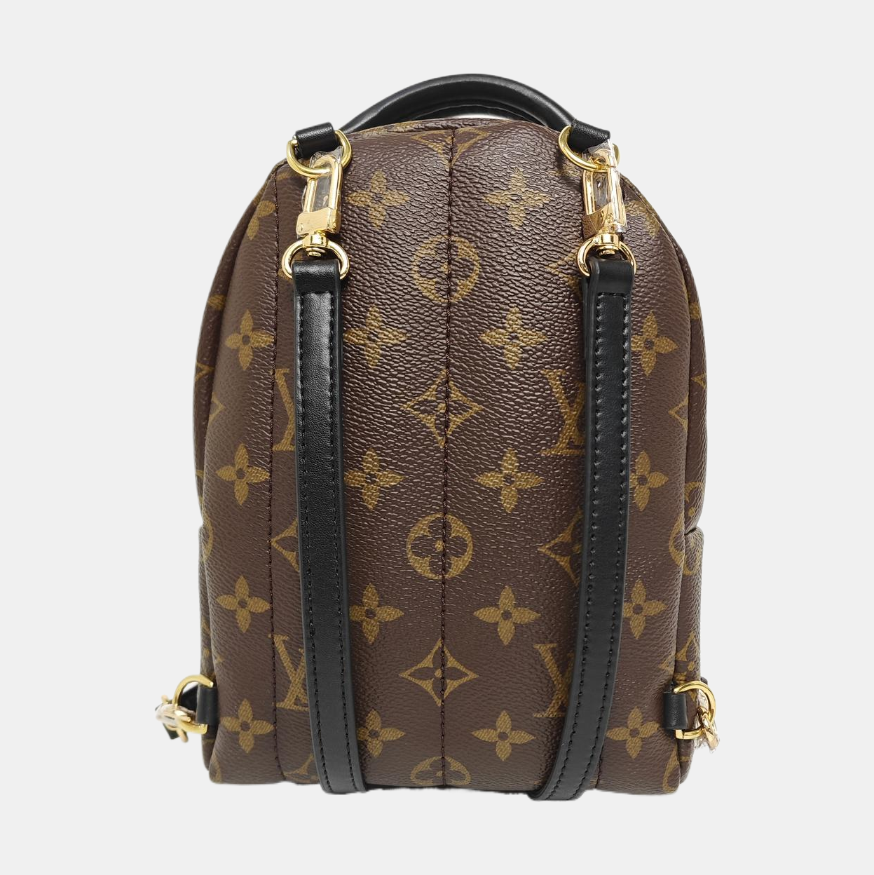 PALM SPRINGS Mini Monogram Coated Canvas Brown