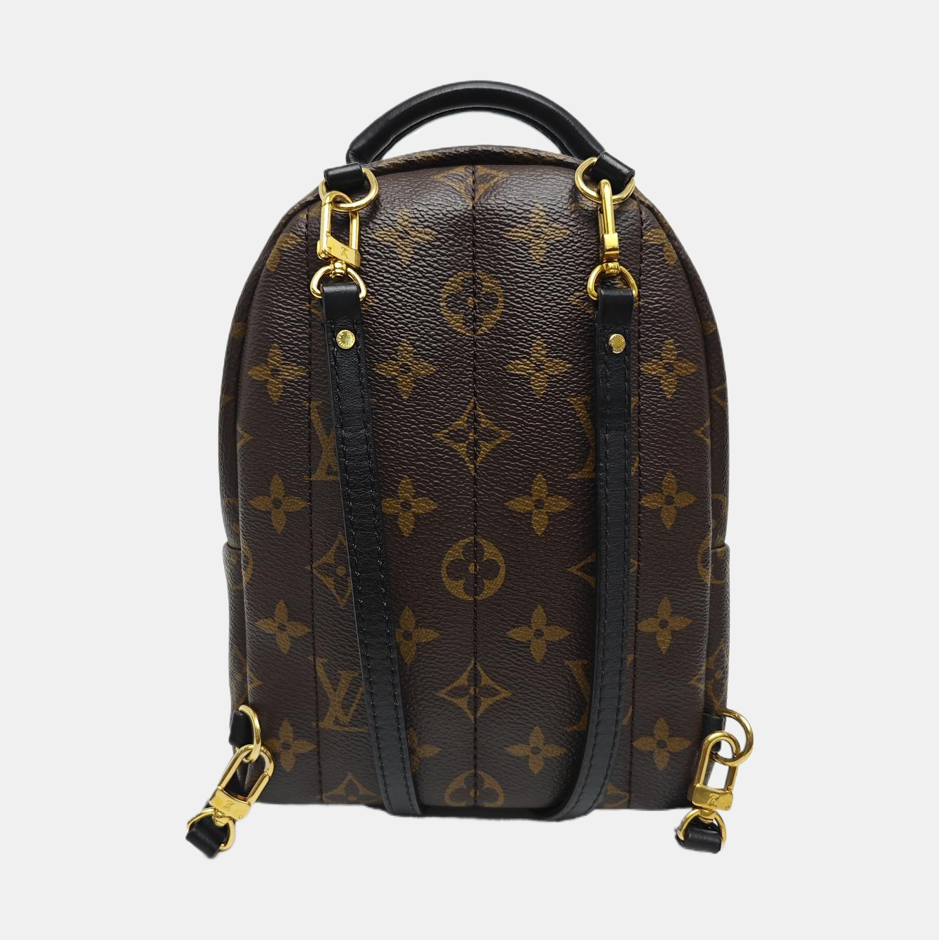 PALM SPRINGS Mini Monogram Coated Canvas Brown