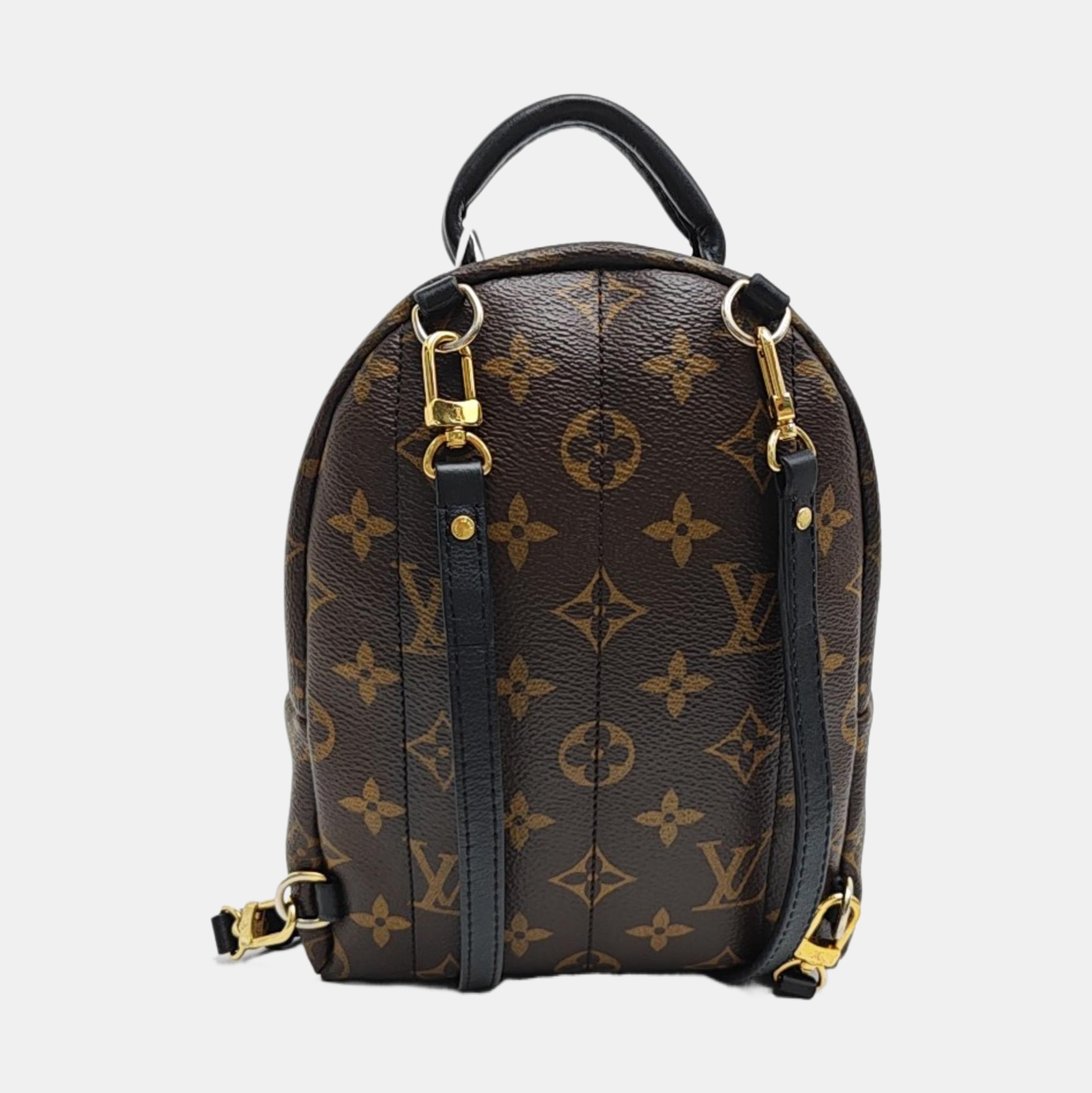 PALM SPRINGS Mini Monogram Coated Canvas Brown
