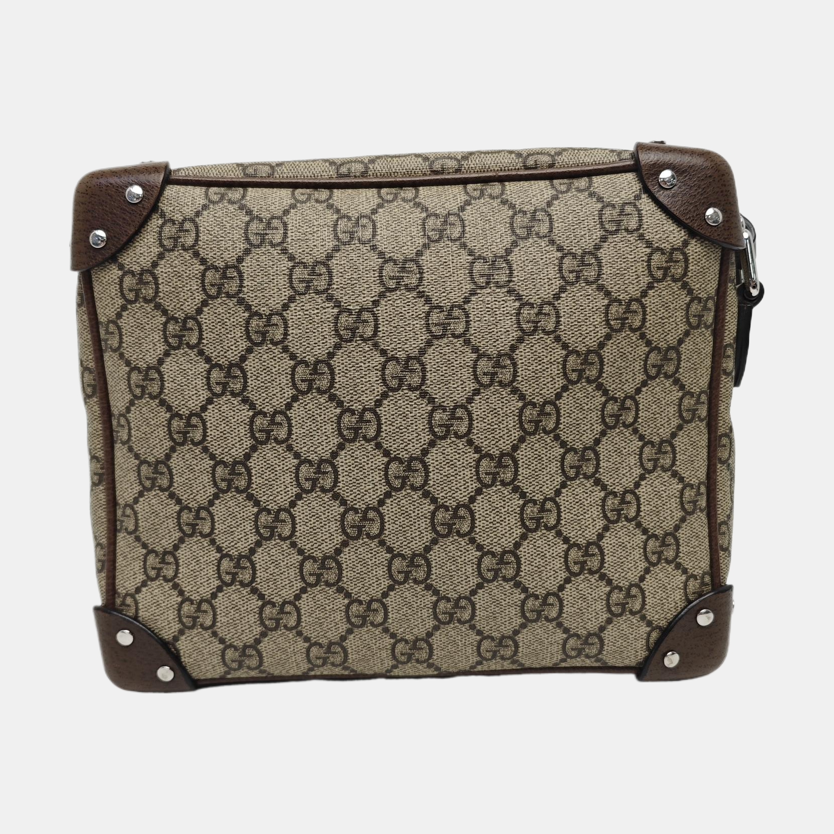 Trunk Monogram Coated Canvas Brown