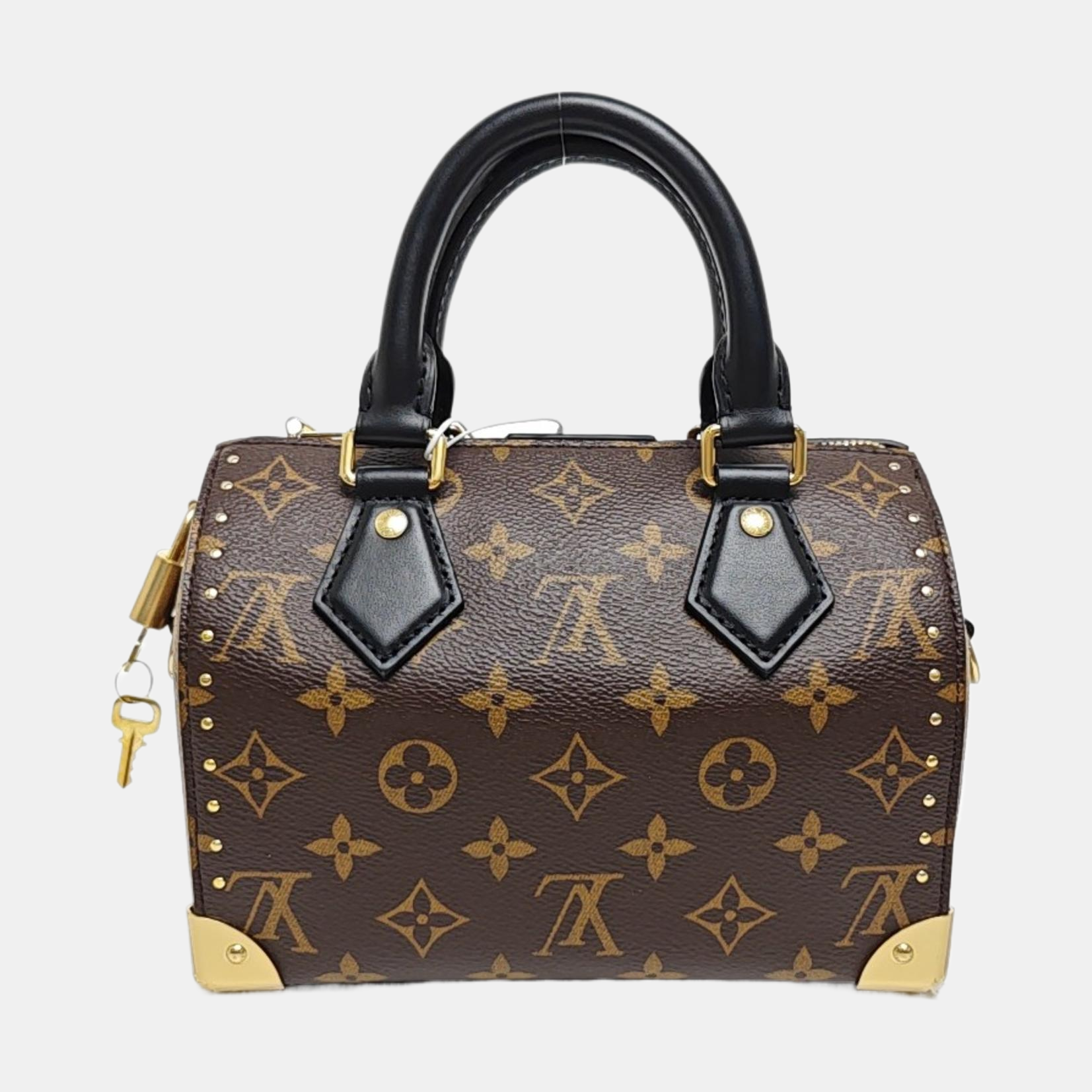 SPEEDY TRUNK 20 Monogram Coated Canvas Brown