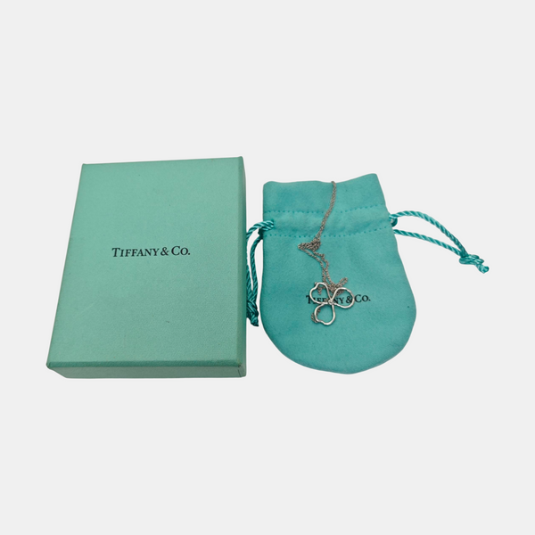 Platinum 950 Silver Necklace