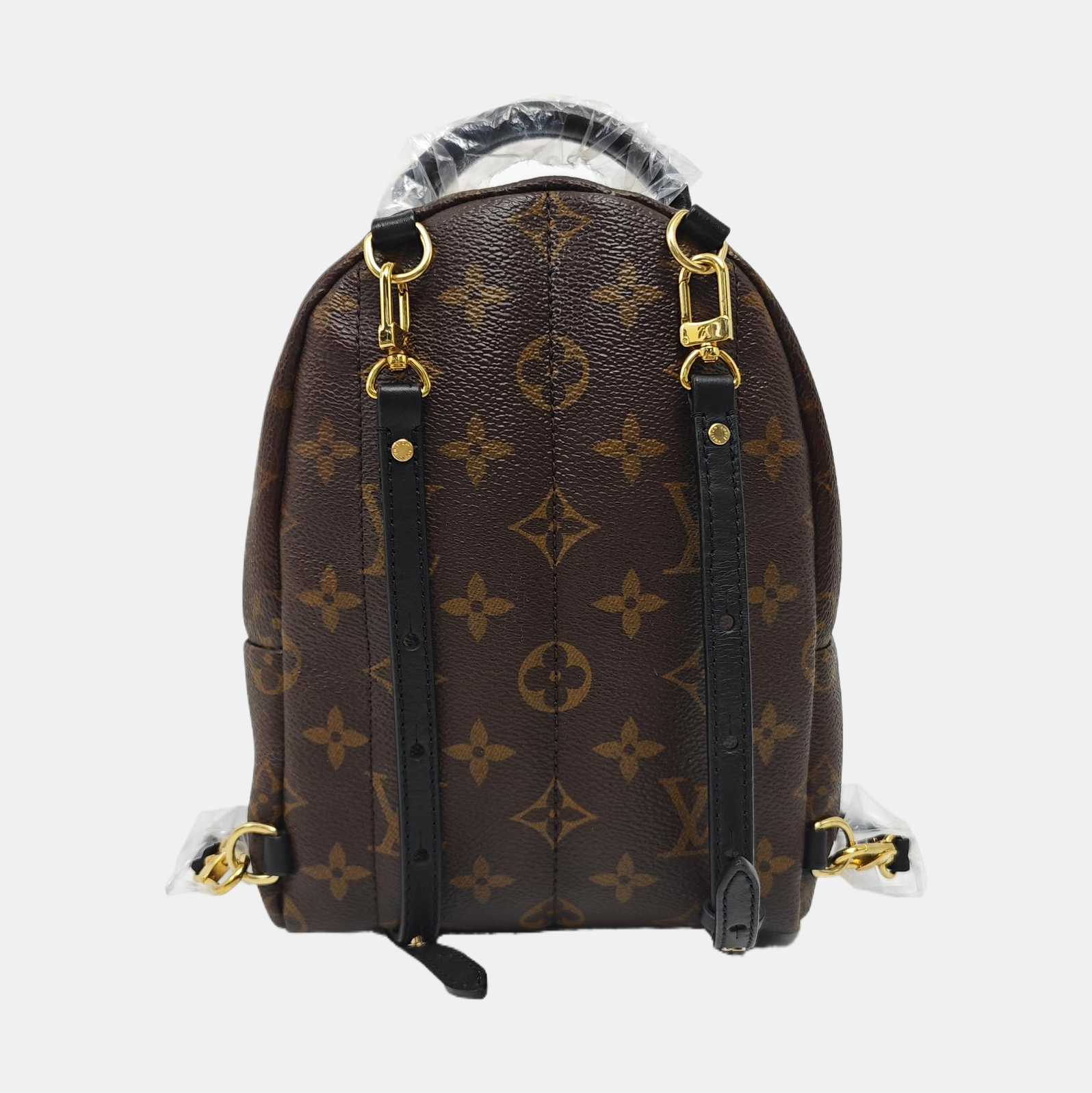PALM SPRINGS Mini Monogram Coated Canvas Brown