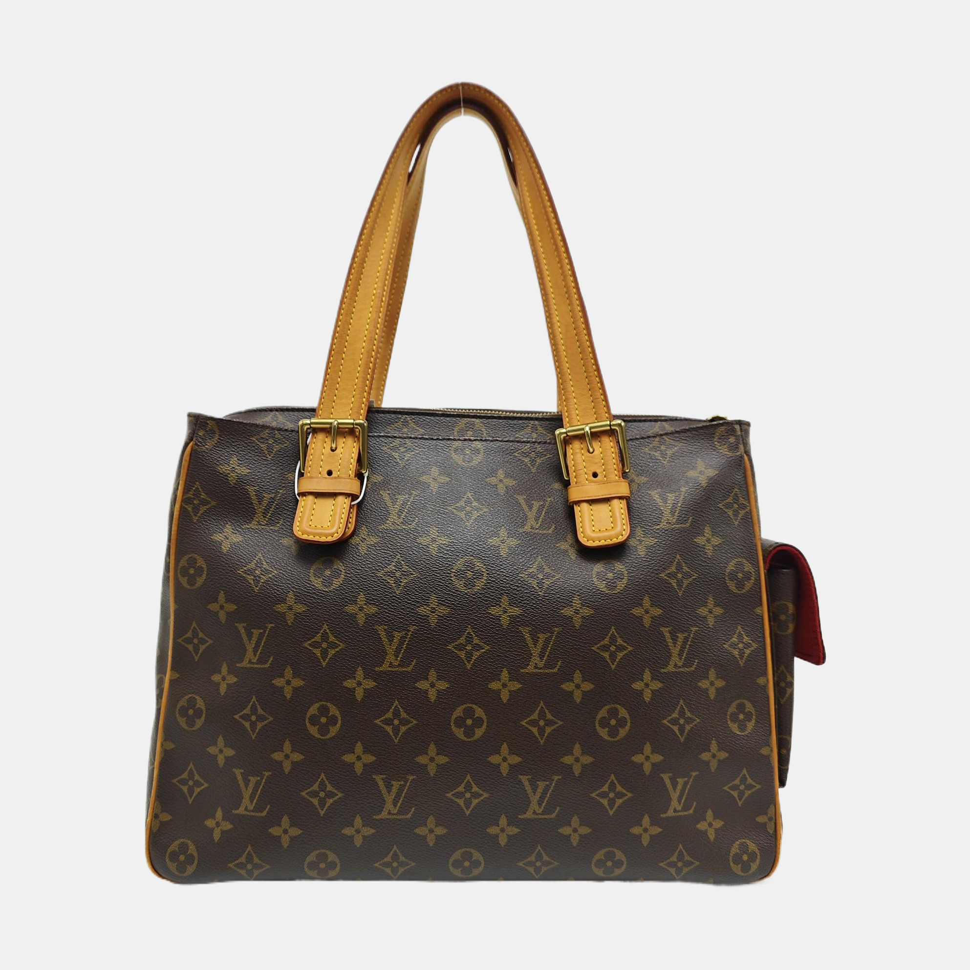 MULTIPLE Monogram Coated Canvas Brown