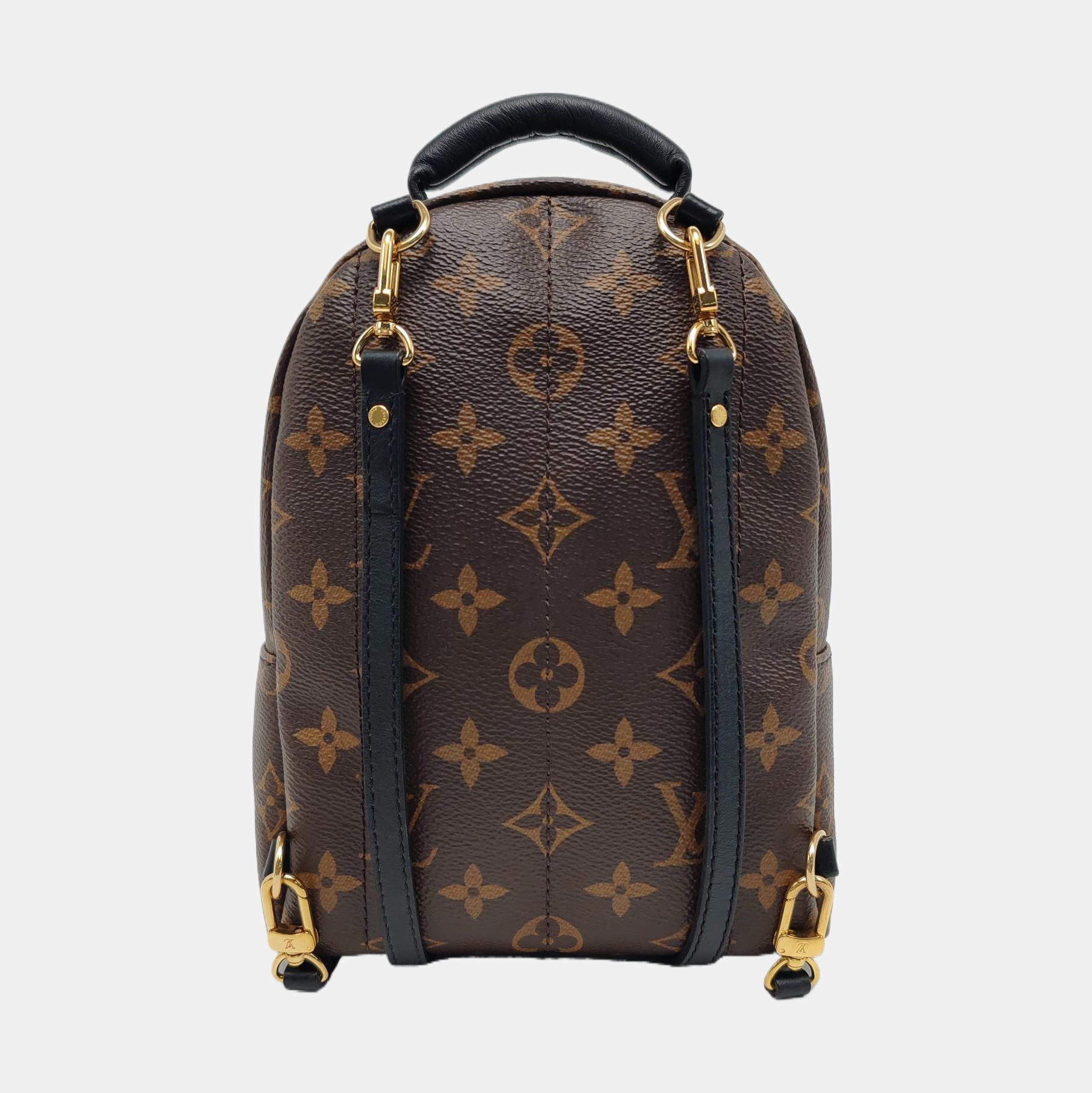 PALM SPRINGS Mini Monogram Coated Canvas Brown