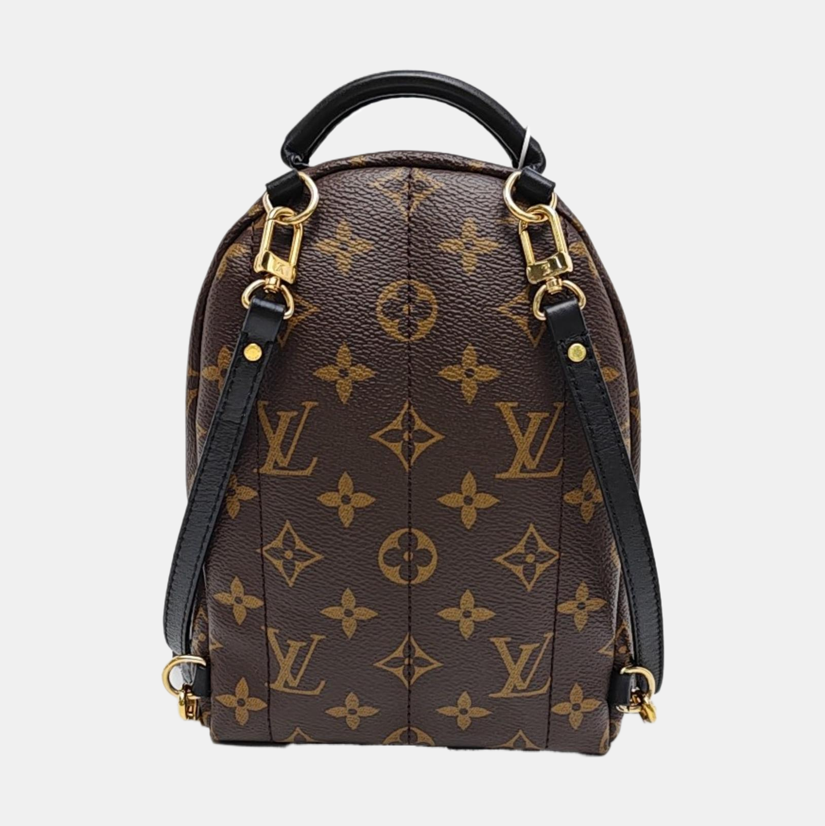 PALM SPRINGS Mini Monogram Coated Canvas Brown