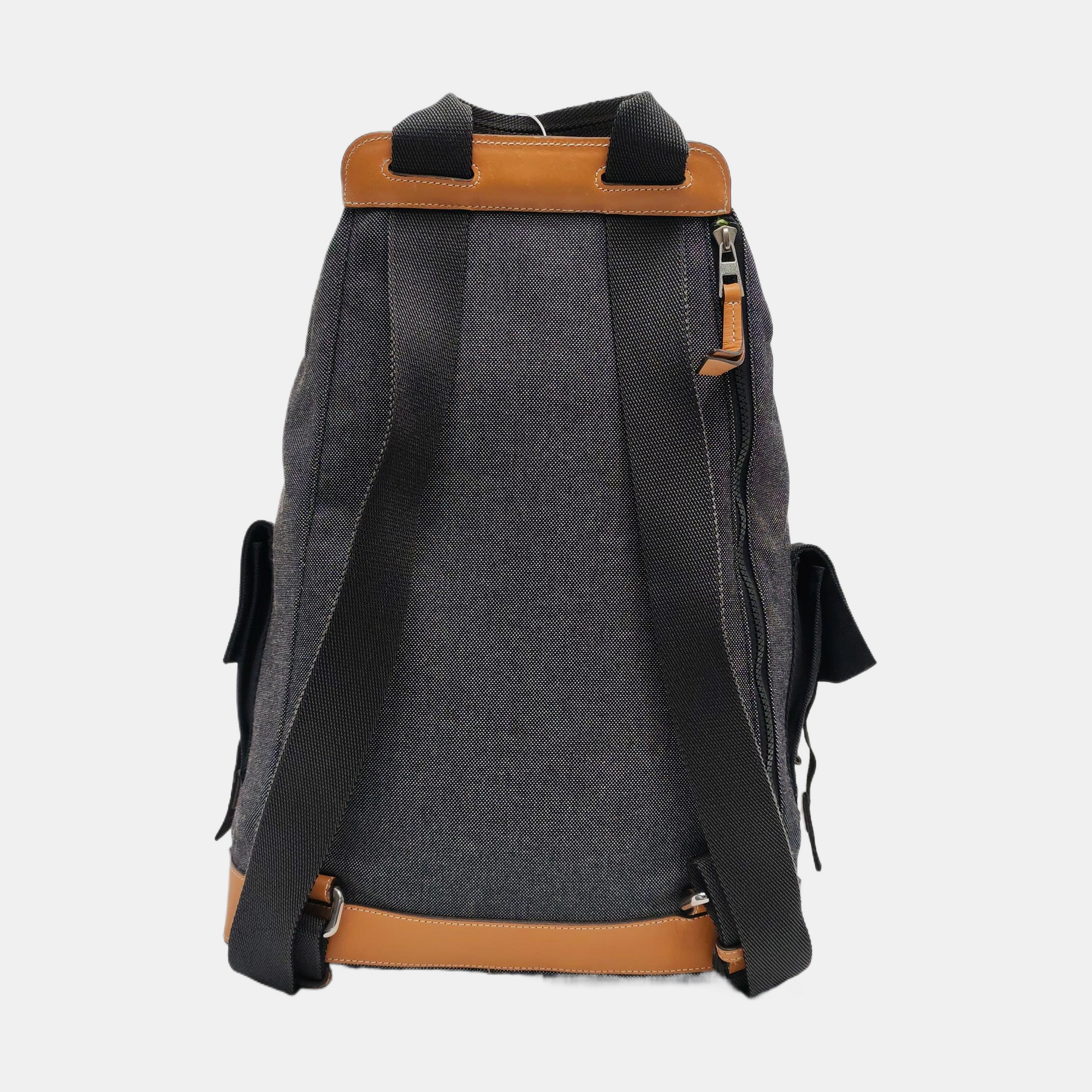 Eye/loewe/nature Canvas Gray