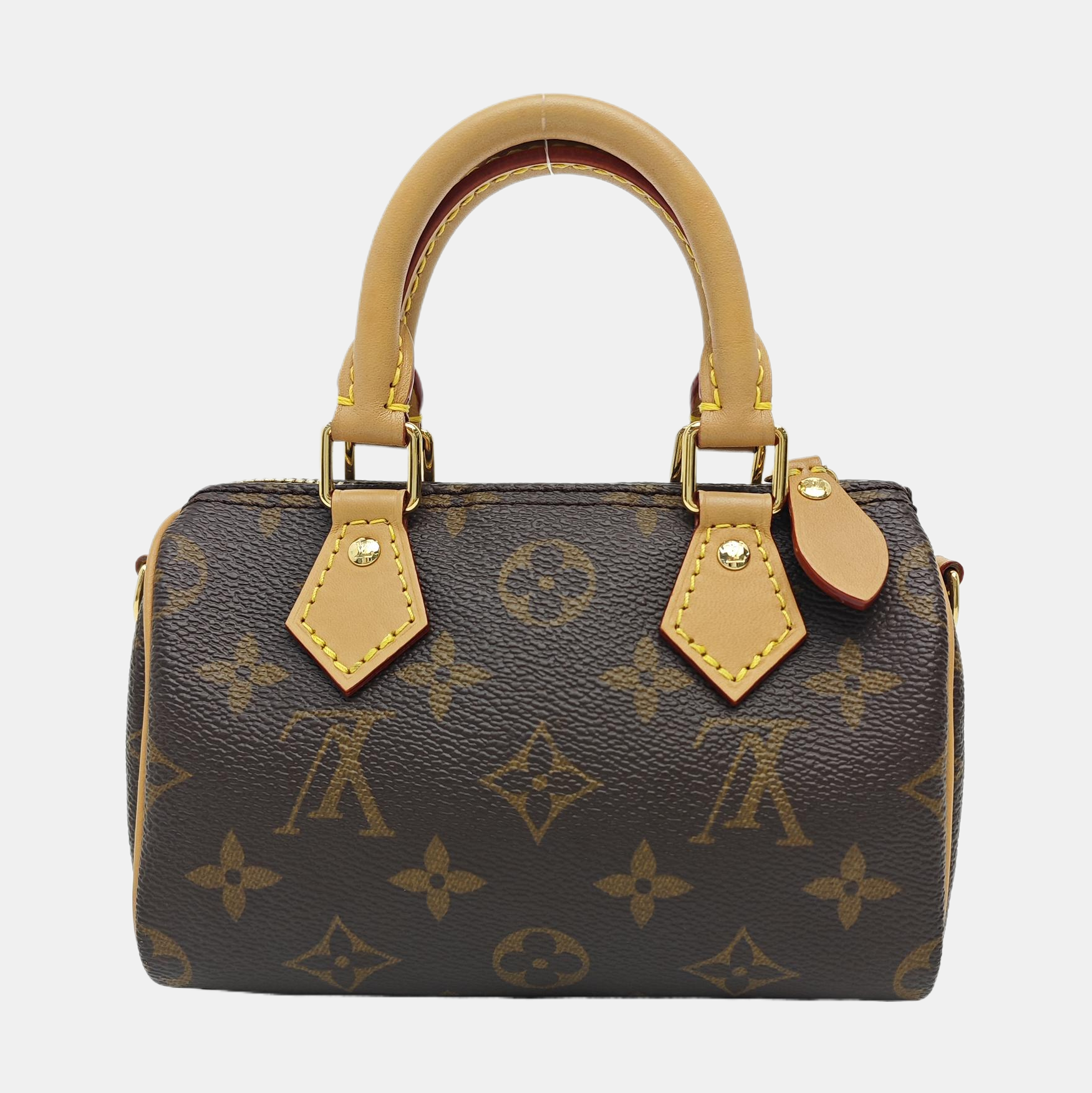 SPEEDY Nano Monogram Coated Canvas Brown