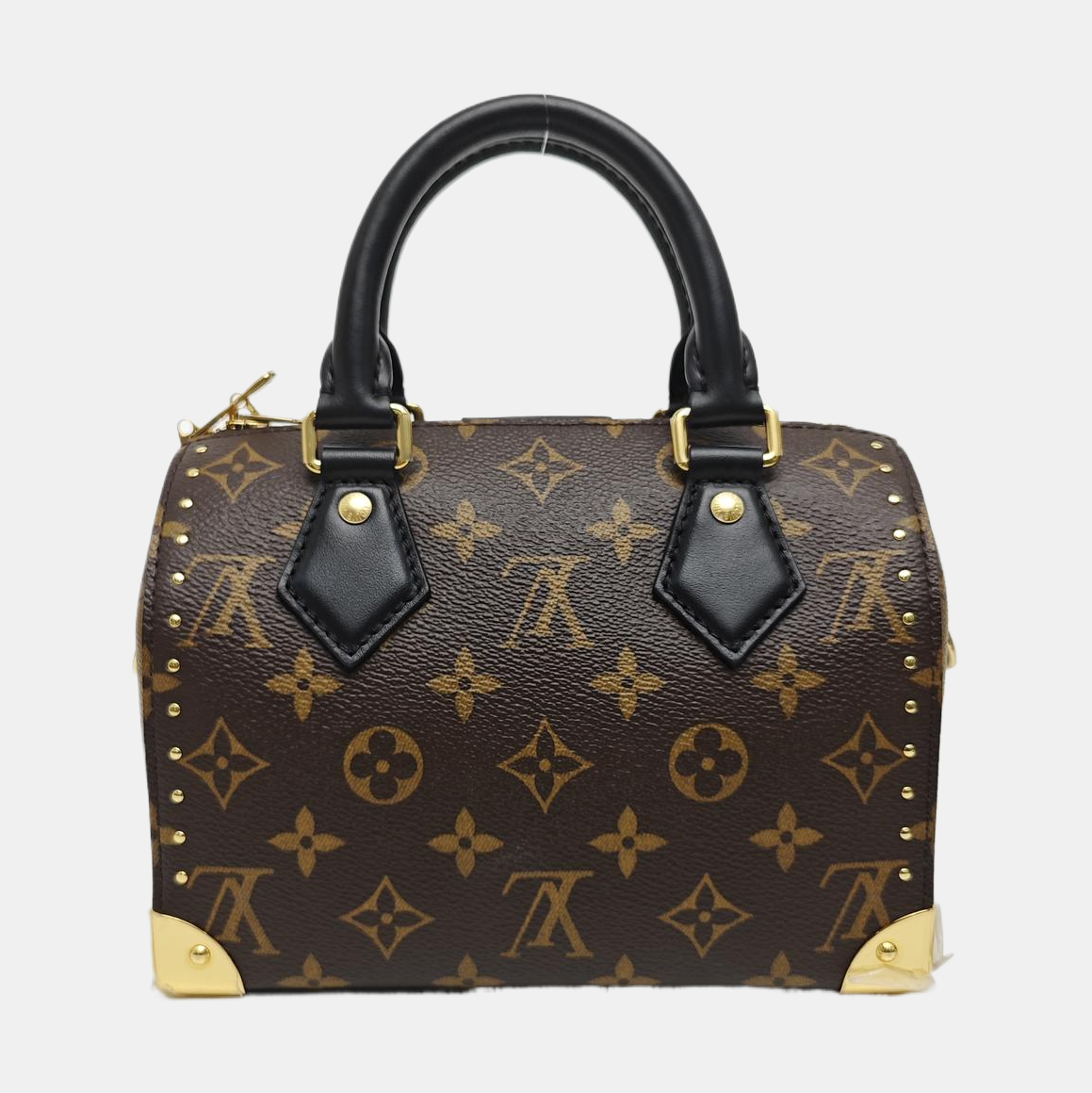 SPEEDY TRUNK 20 Monogram Coated Canvas Brown