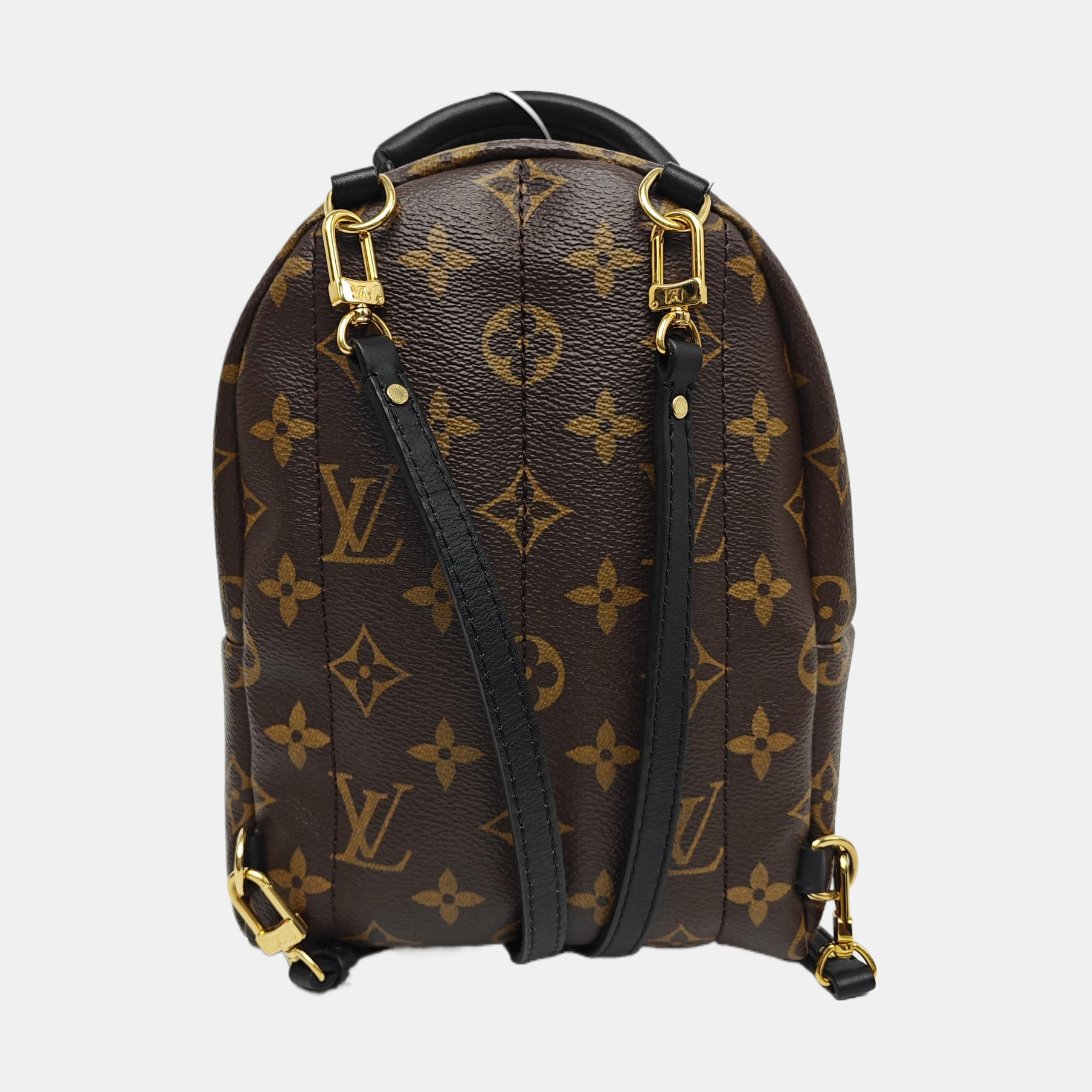 PALM SPRINGS Mini Monogram Coated Canvas Brown
