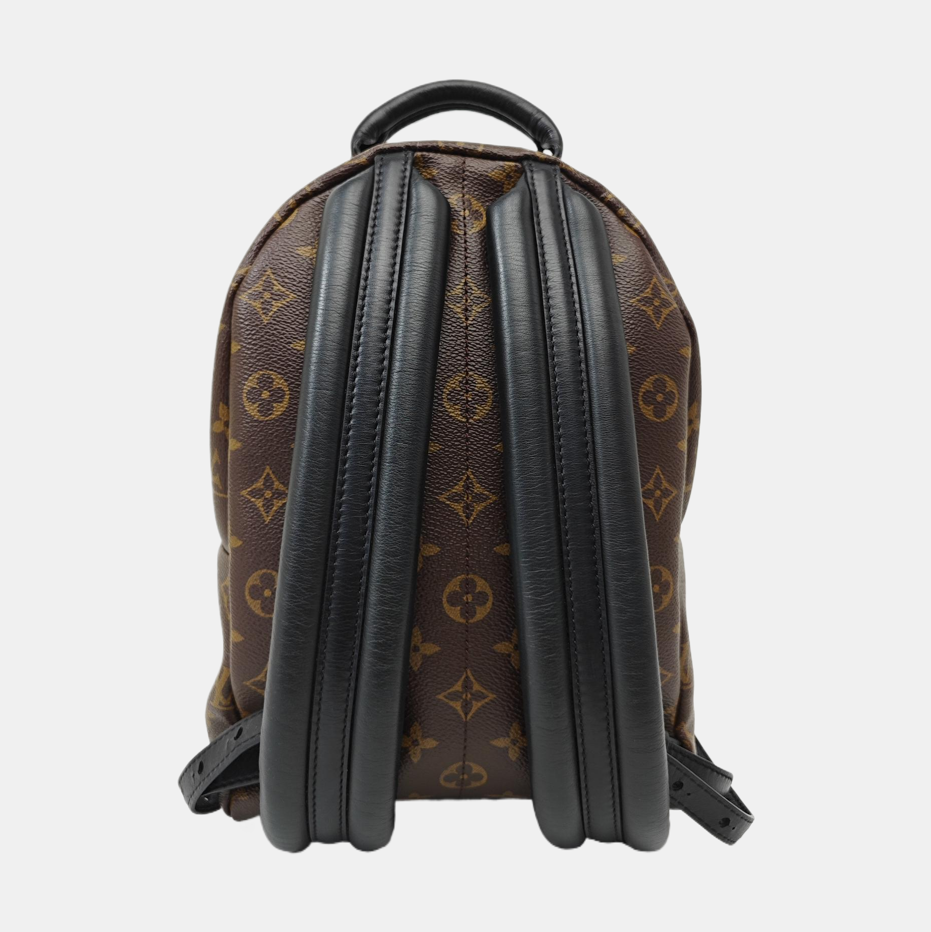PALM SPRINGS PM Monogram Coated Canvas Brown