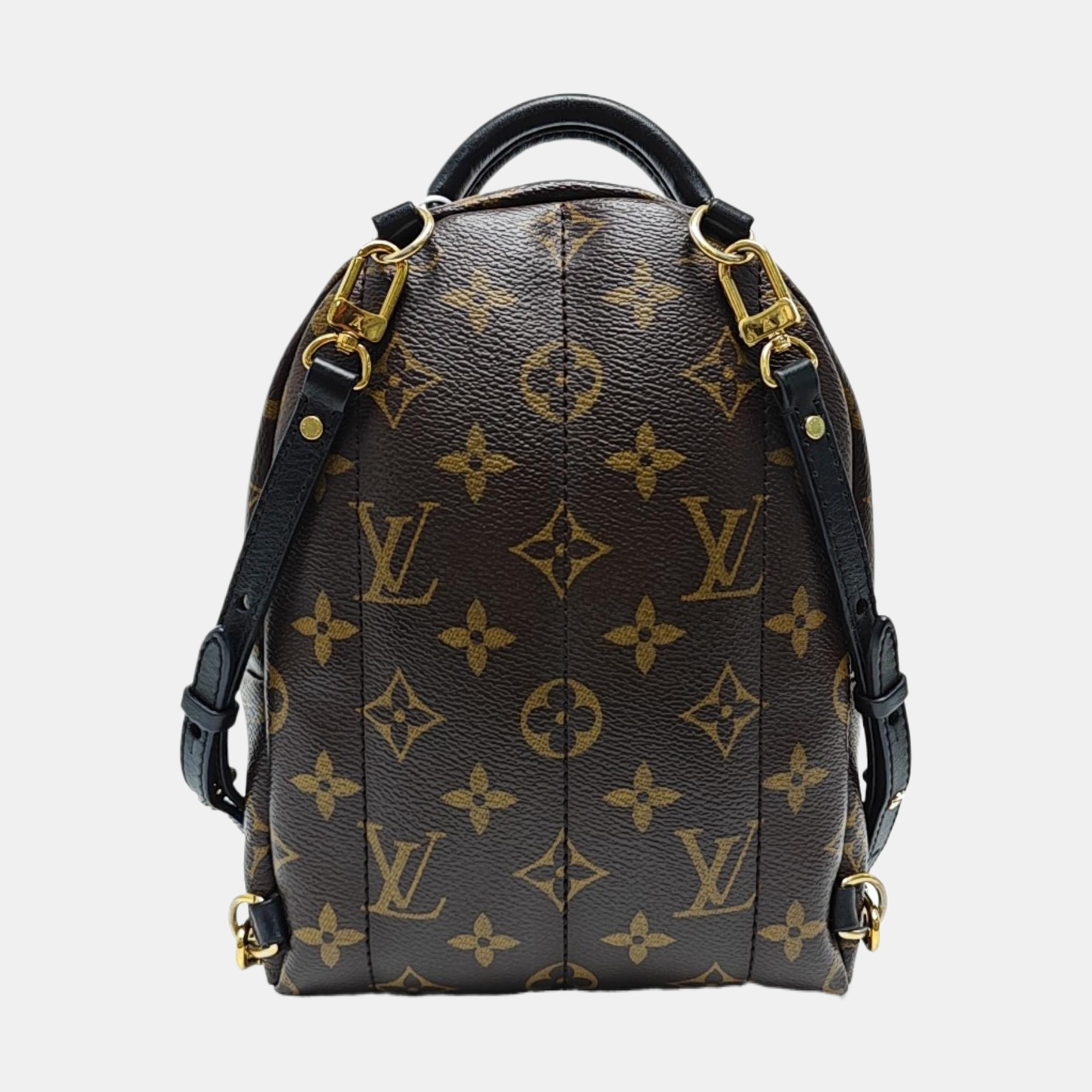 PALM SPRINGS Mini Monogram Coated Canvas Brown