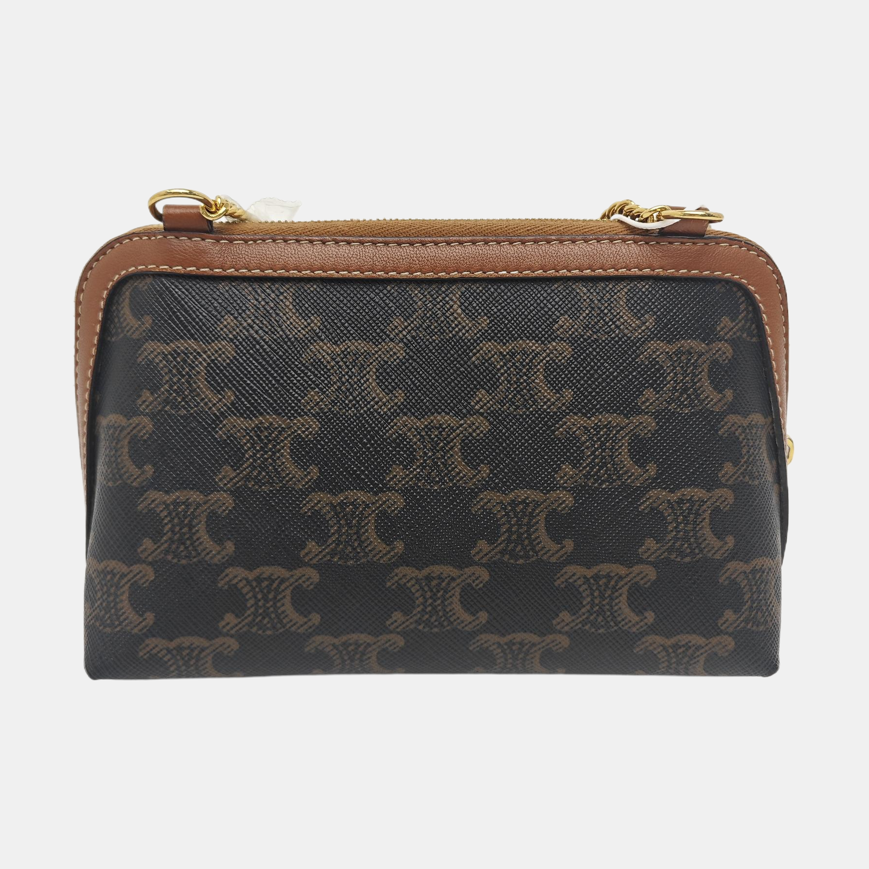 TRIOMPHE CANVAS Mini Coated Canvas Brown
