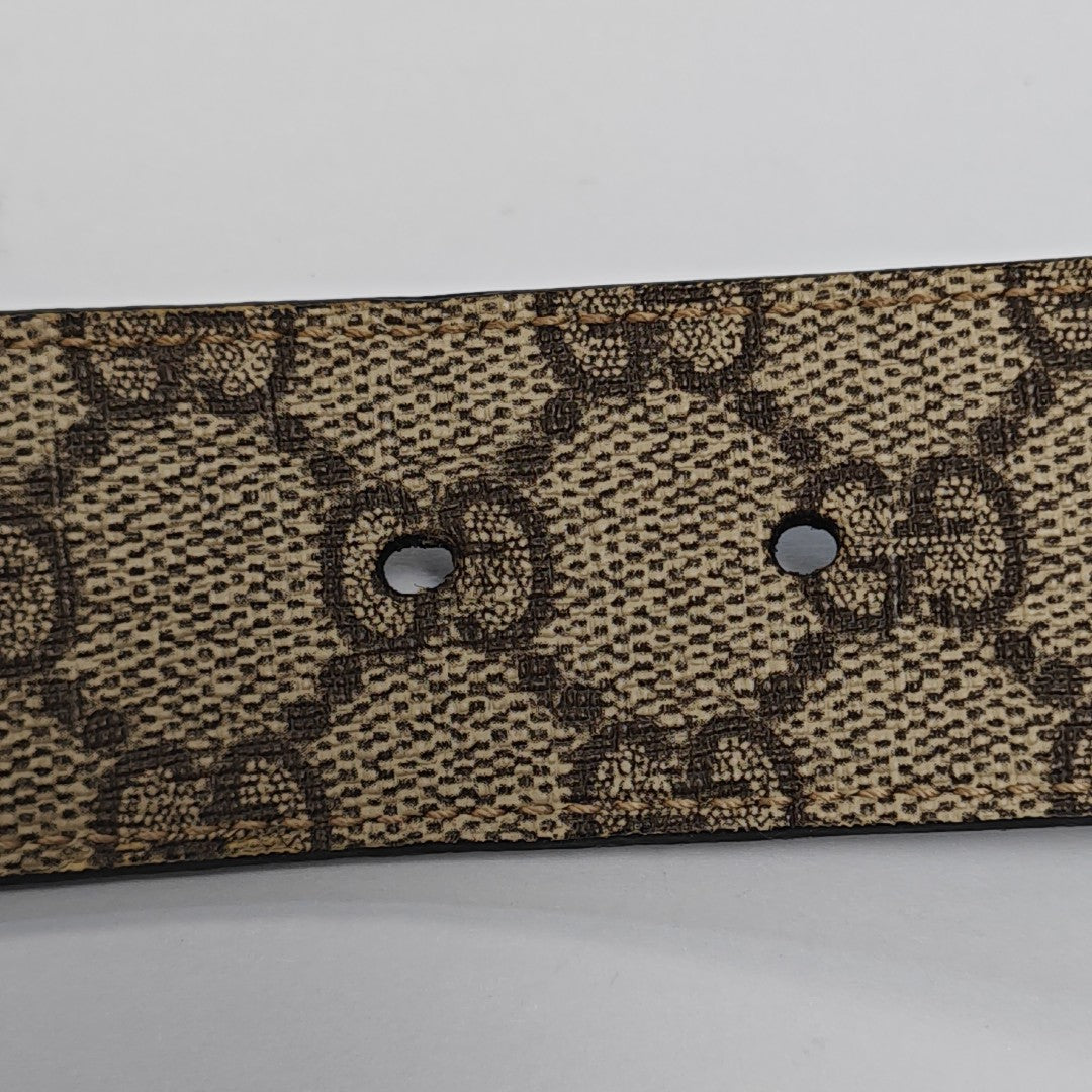 Coated Canvas Belt Brown