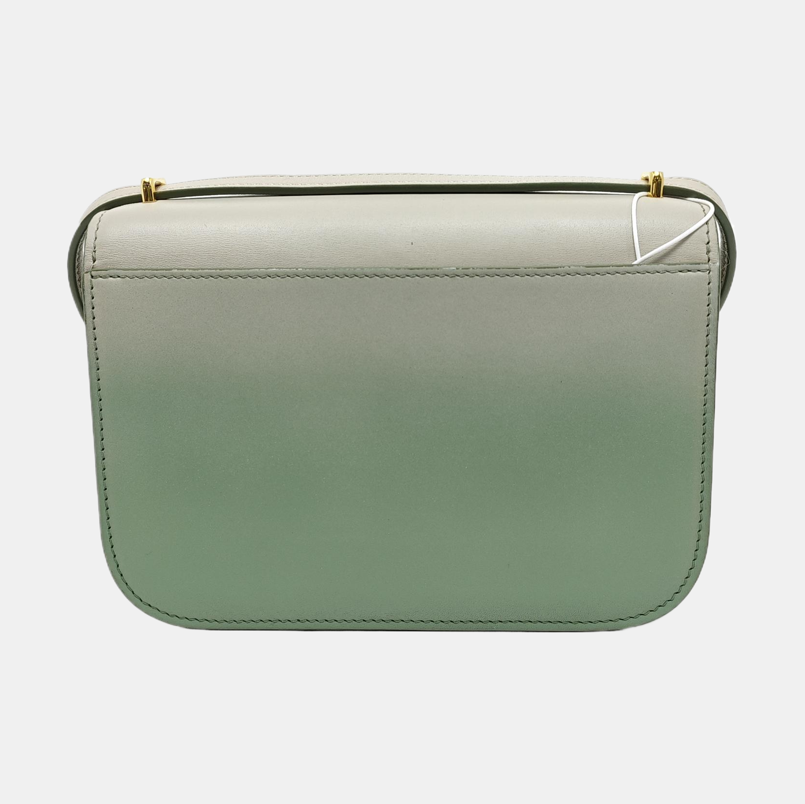 Goya Small Calfskin Green