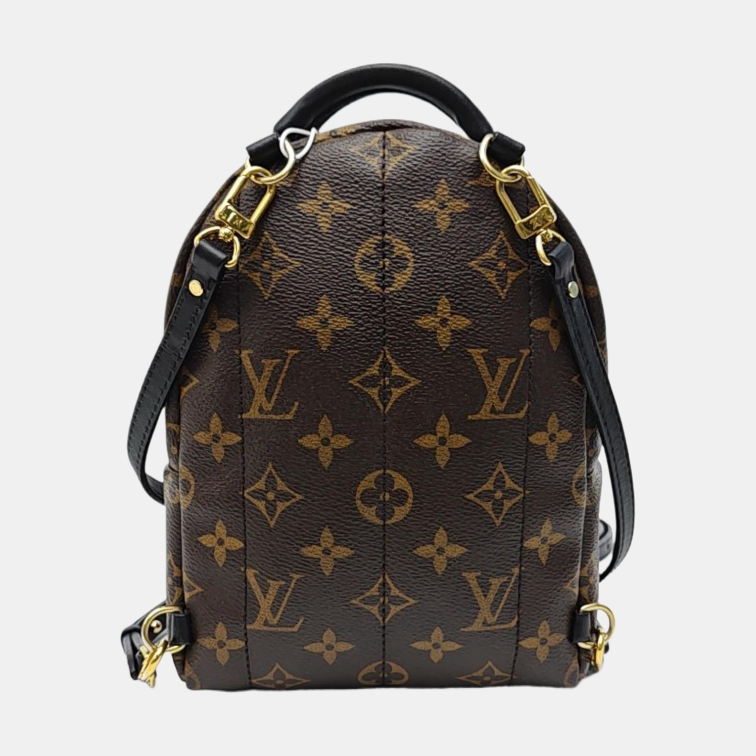 PALM SPRINGS Mini Monogram Coated Canvas Brown