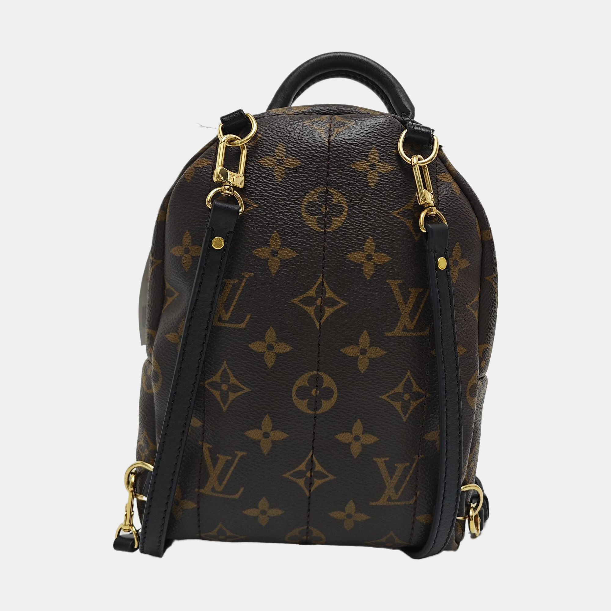 PALM SPRINGS Mini Monogram Coated Canvas Brown