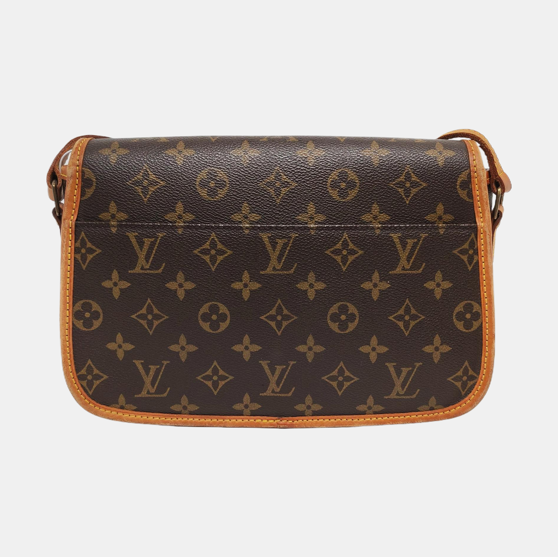SOLOGNE PM Monogram Coated Canvas Brown