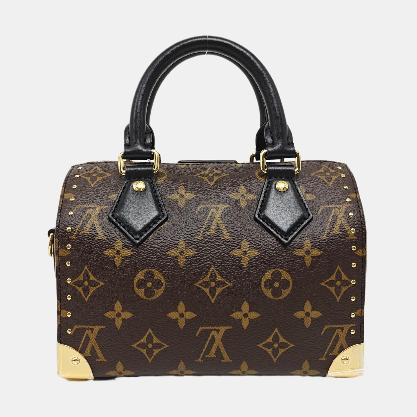 SPEEDY TRUNK 20 Monogram Coated Canvas Brown