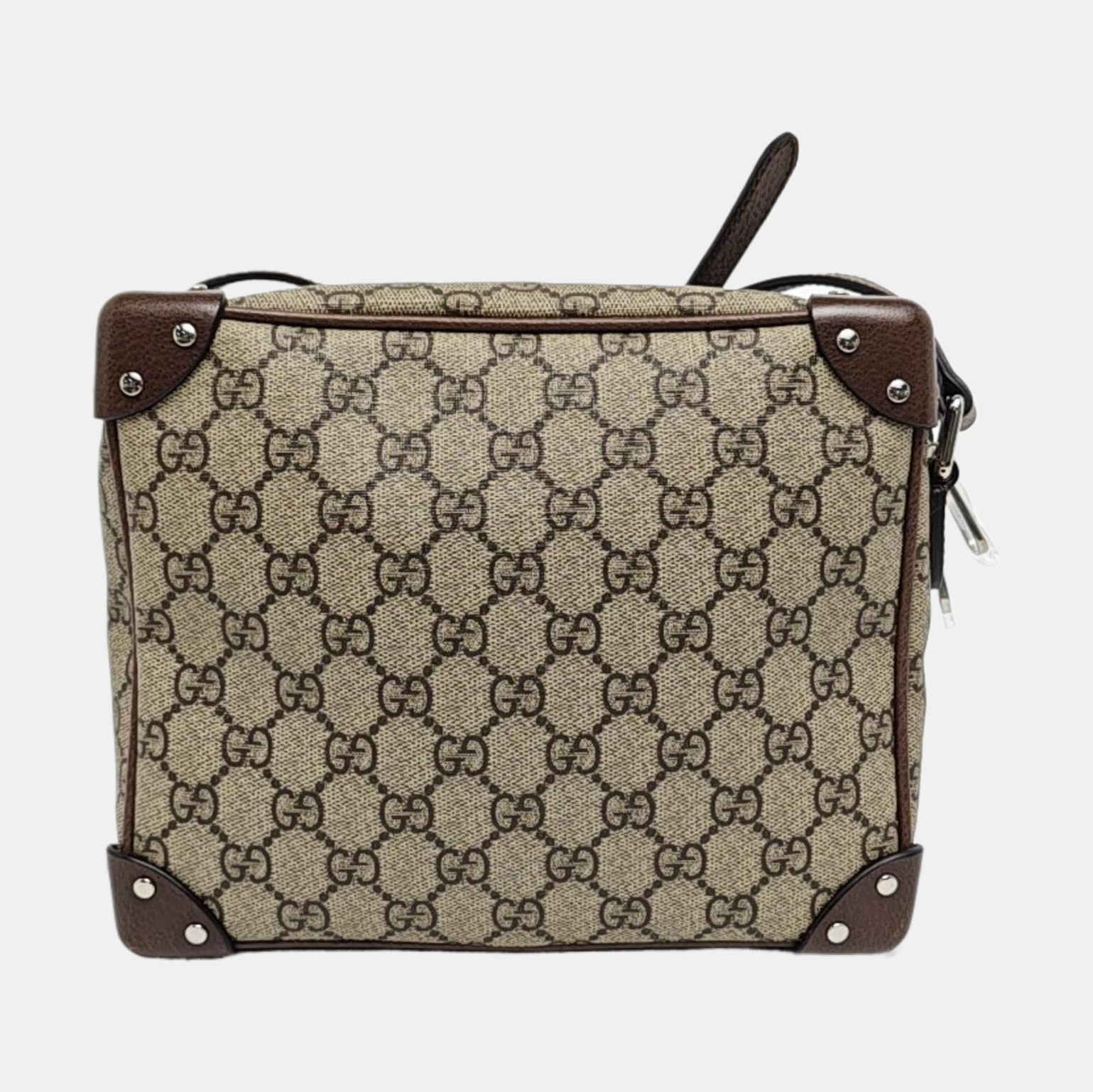 Trunk Monogram Coated Canvas Brown