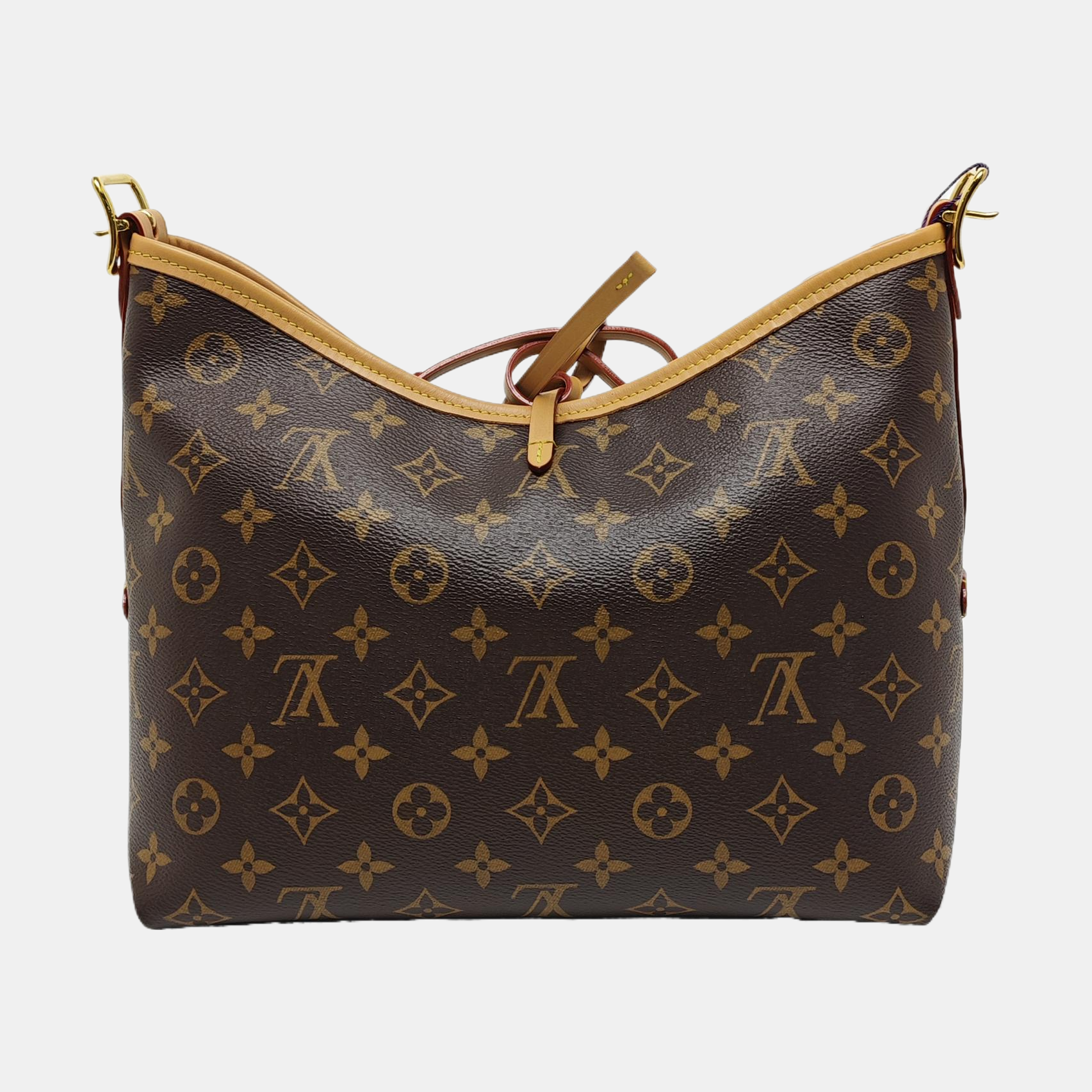 CARRYALL PM Monogram Coated Canvas Brown