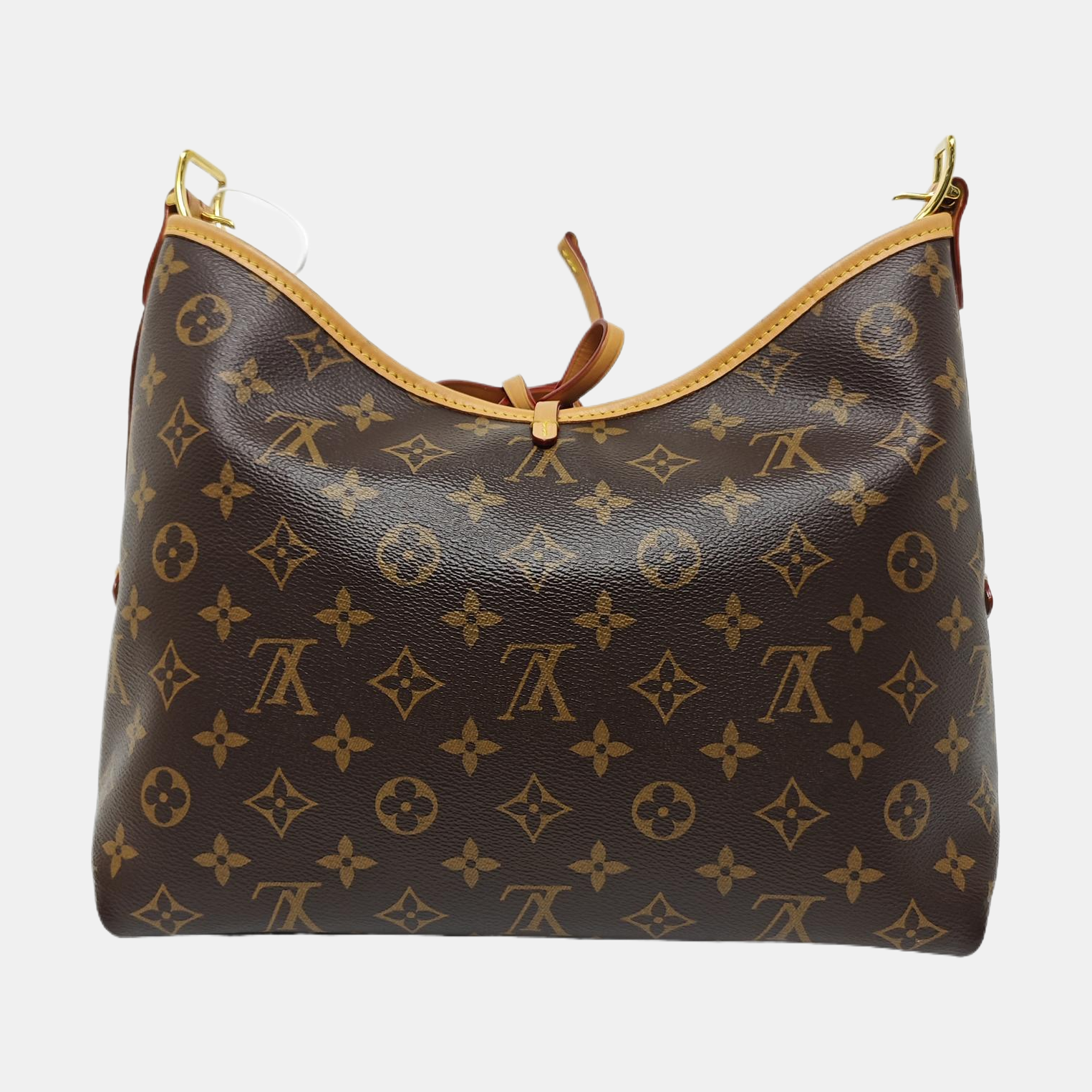 CARRYALL PM Monogram Coated Canvas Brown