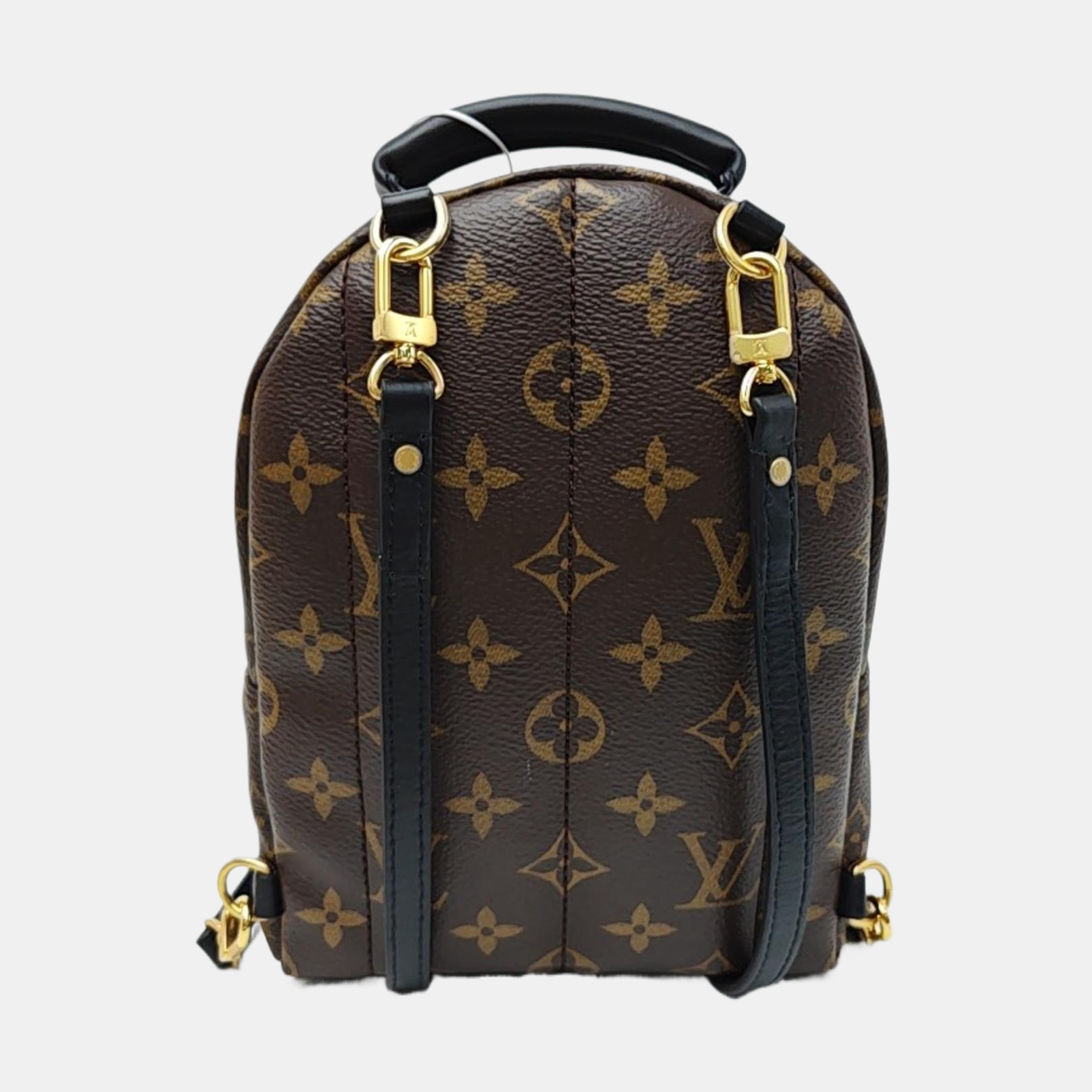 PALM SPRINGS Mini Monogram Coated Canvas Brown