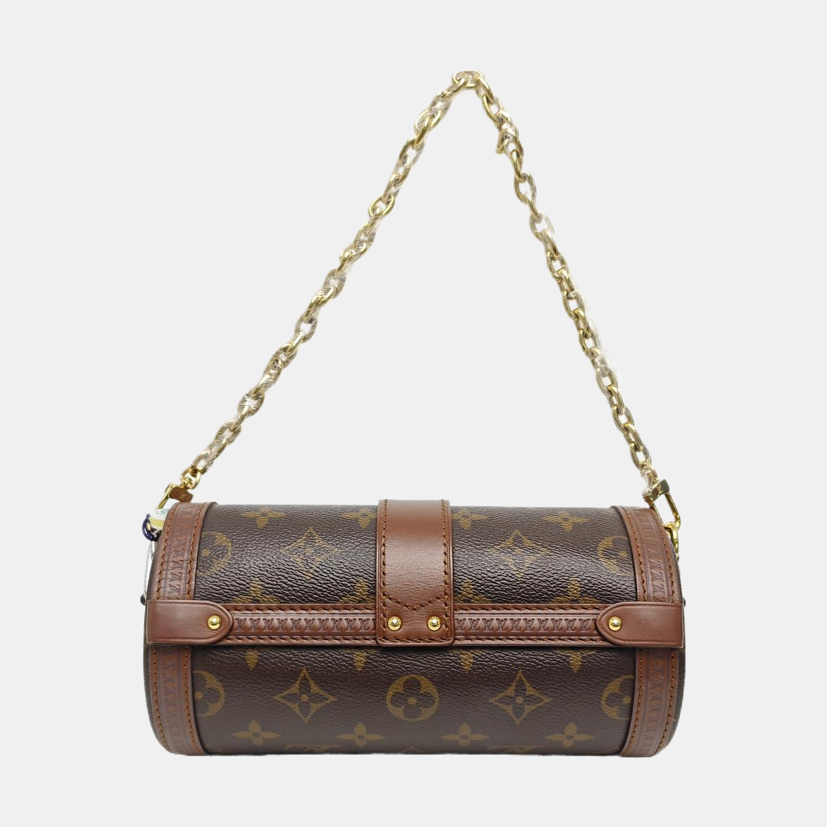 PAPILLON 19 Monogram Coated Canvas Brown
