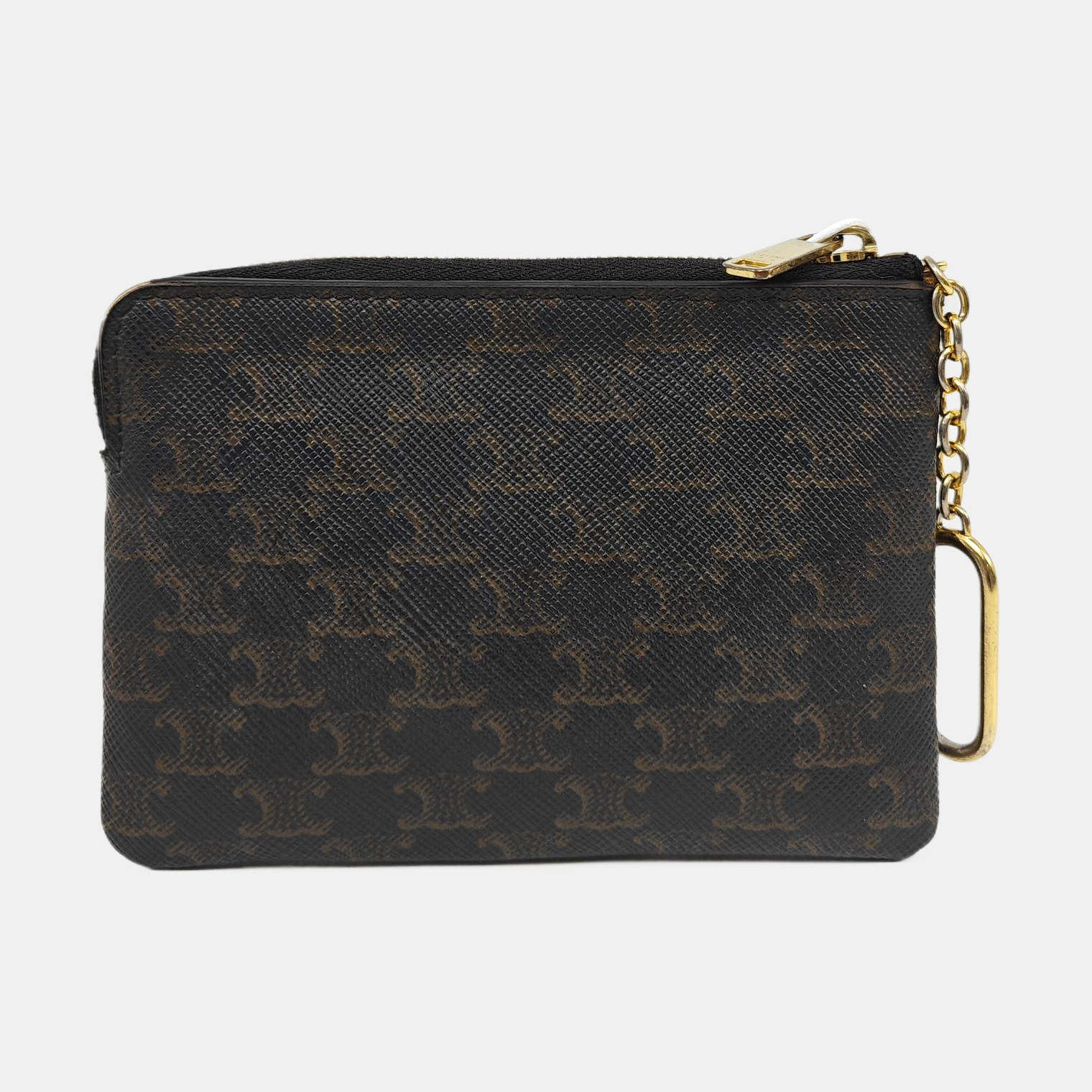 VOYAGE Coated Canvas Brown