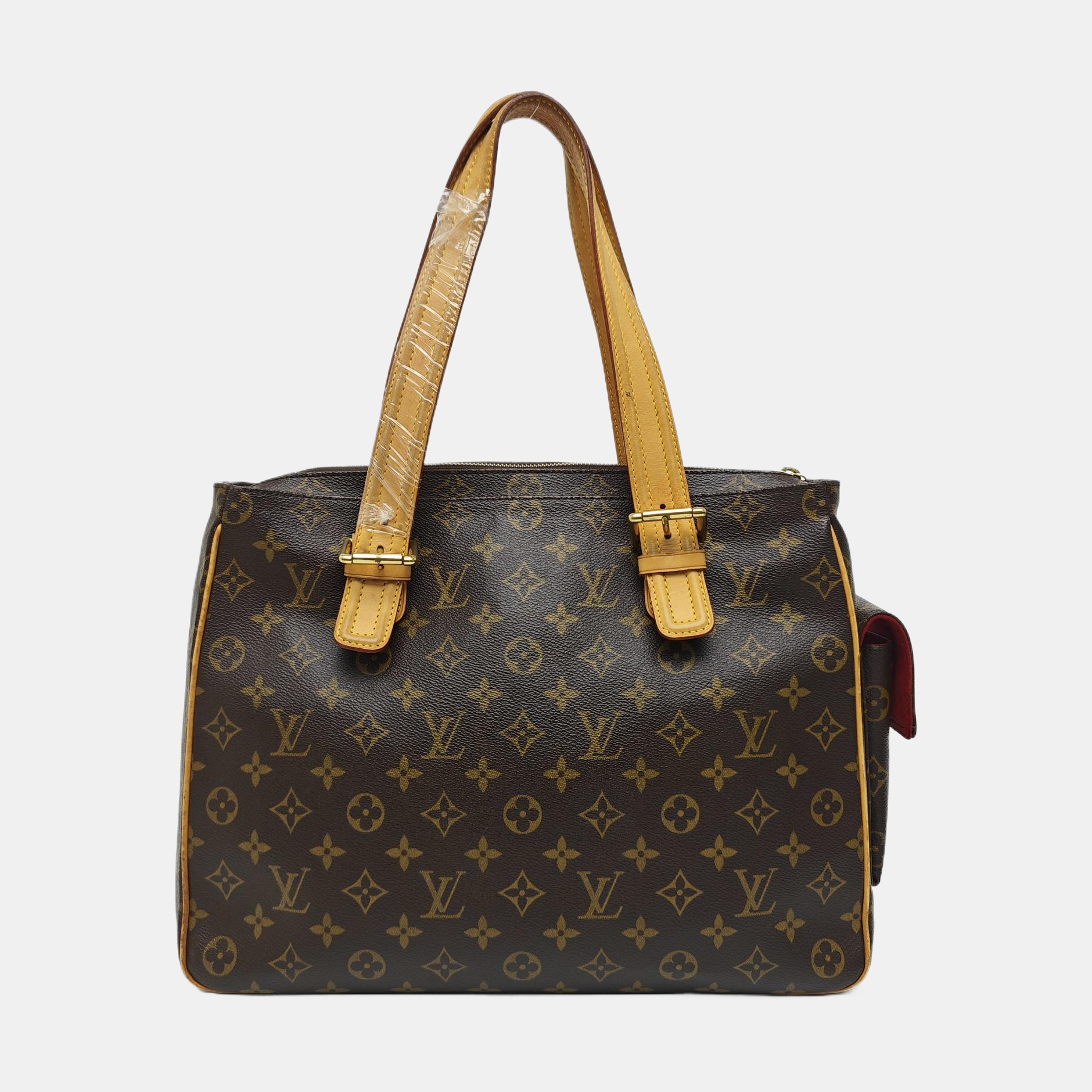 MULTIPLE Monogram Coated Canvas Brown