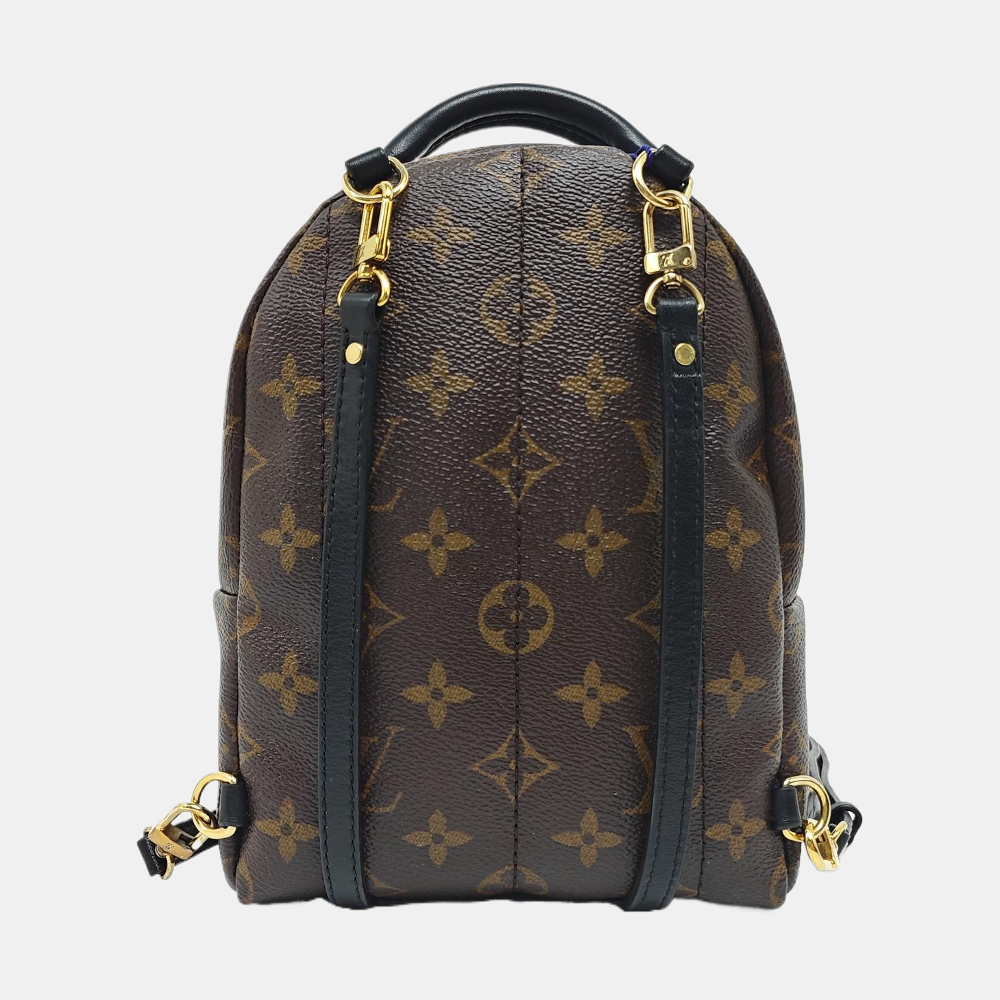 PALM SPRINGS Mini Monogram Coated Canvas Brown