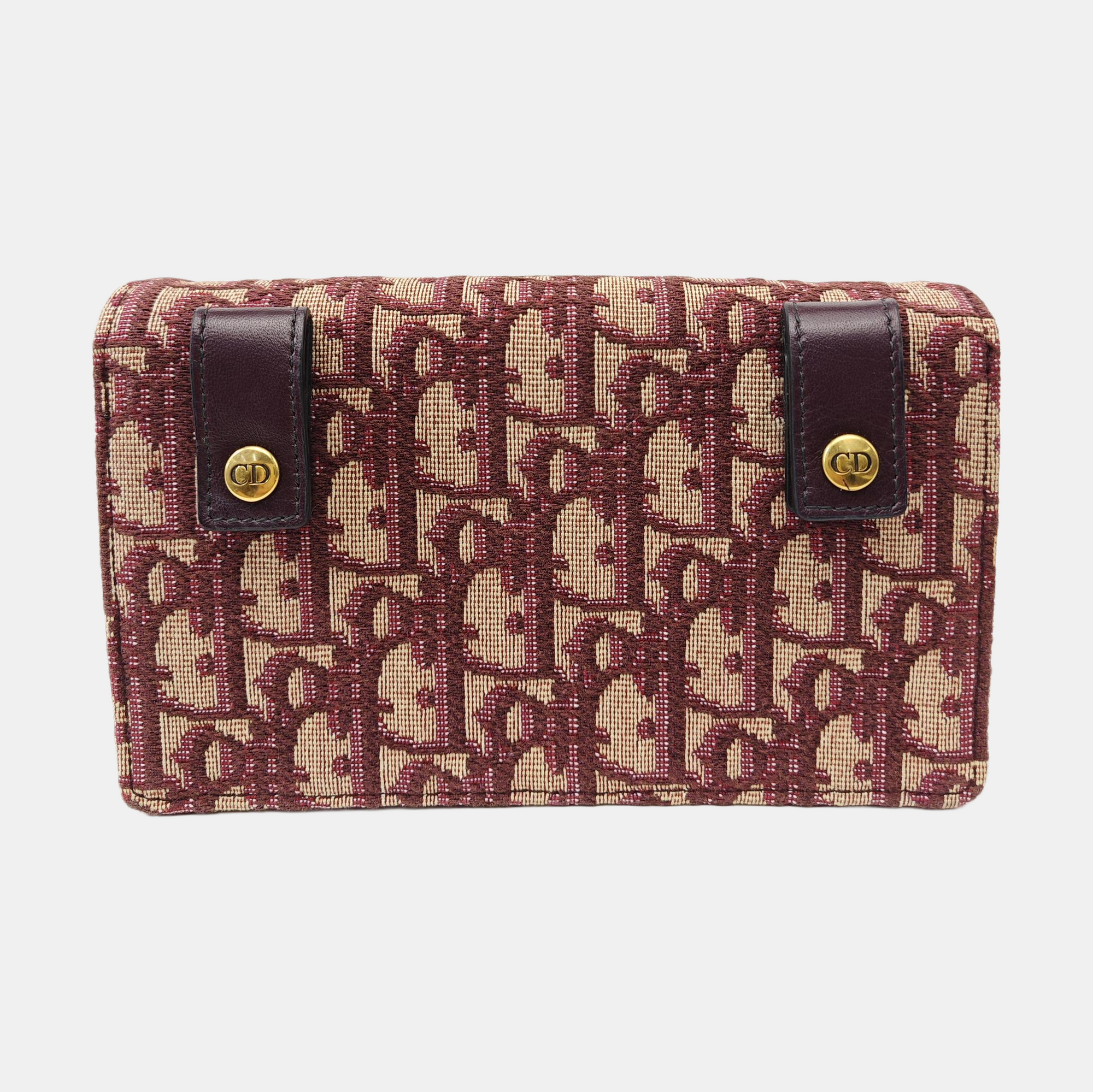 Saddle Mini Oblique Canvas Red