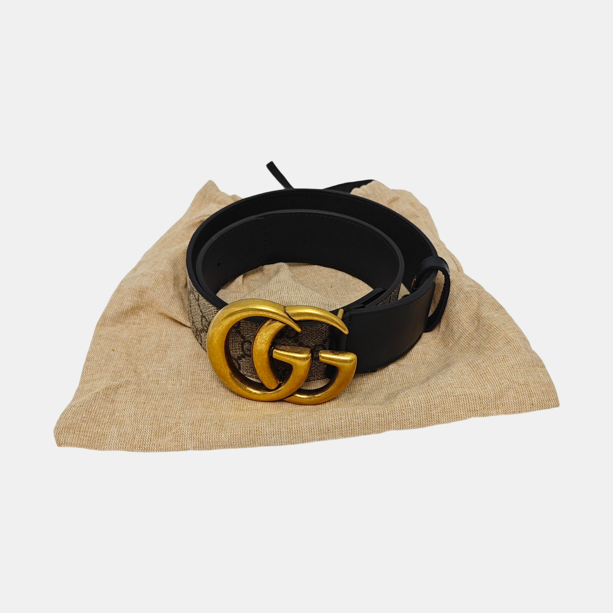 Coated Canvas Belt Beige